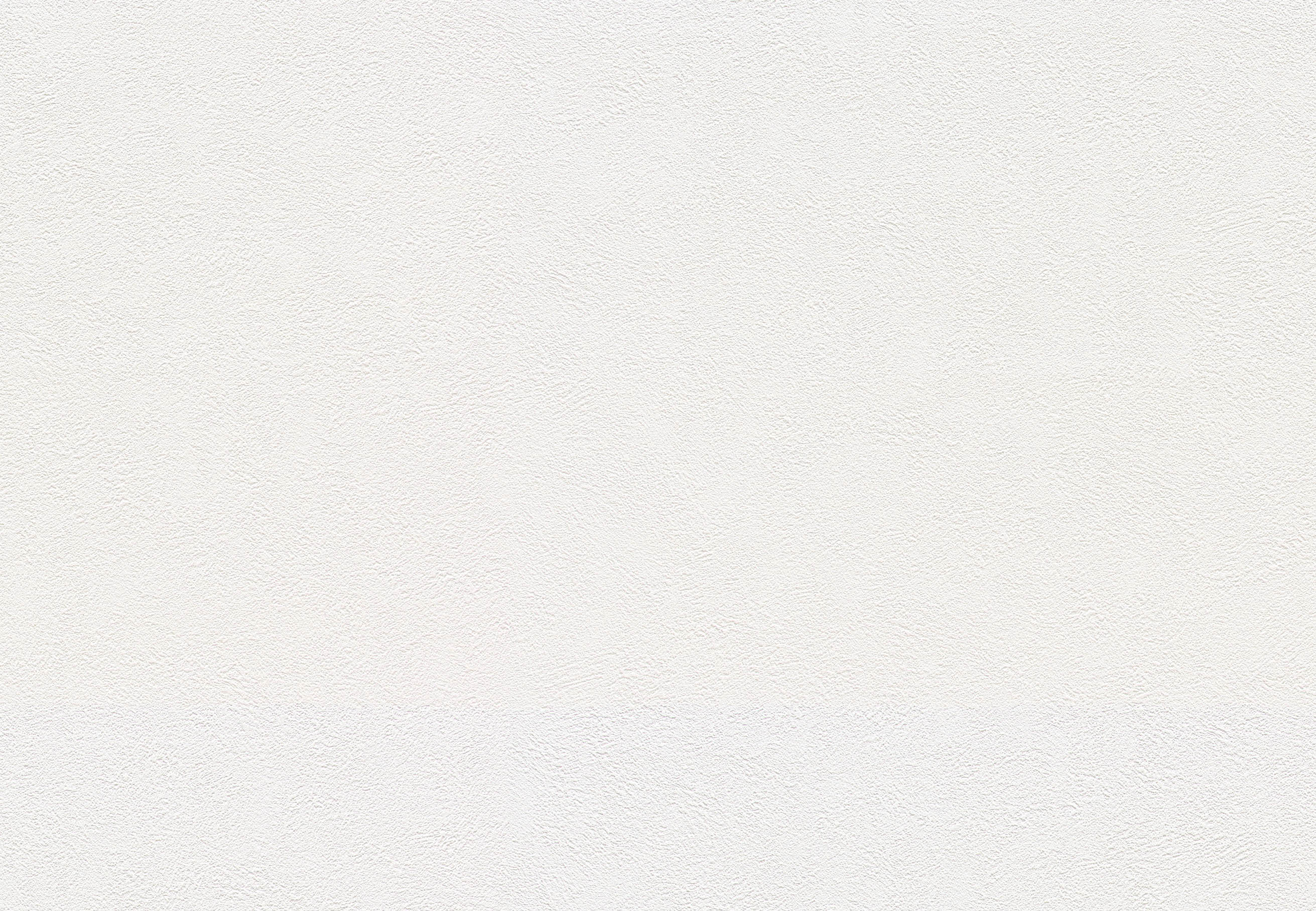 BB-2007　ベスト 25-27