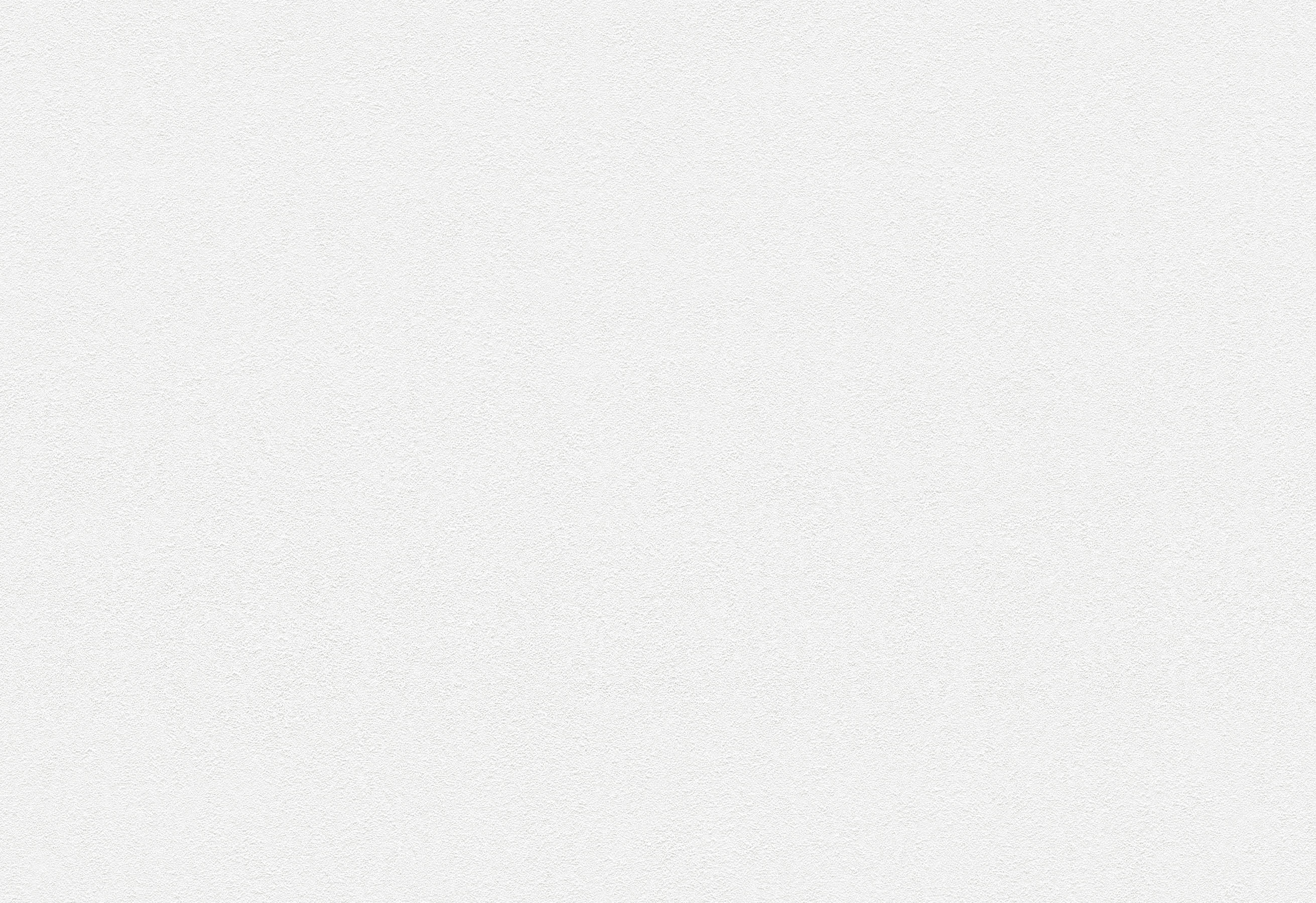 BB-2026　ベスト 25-27