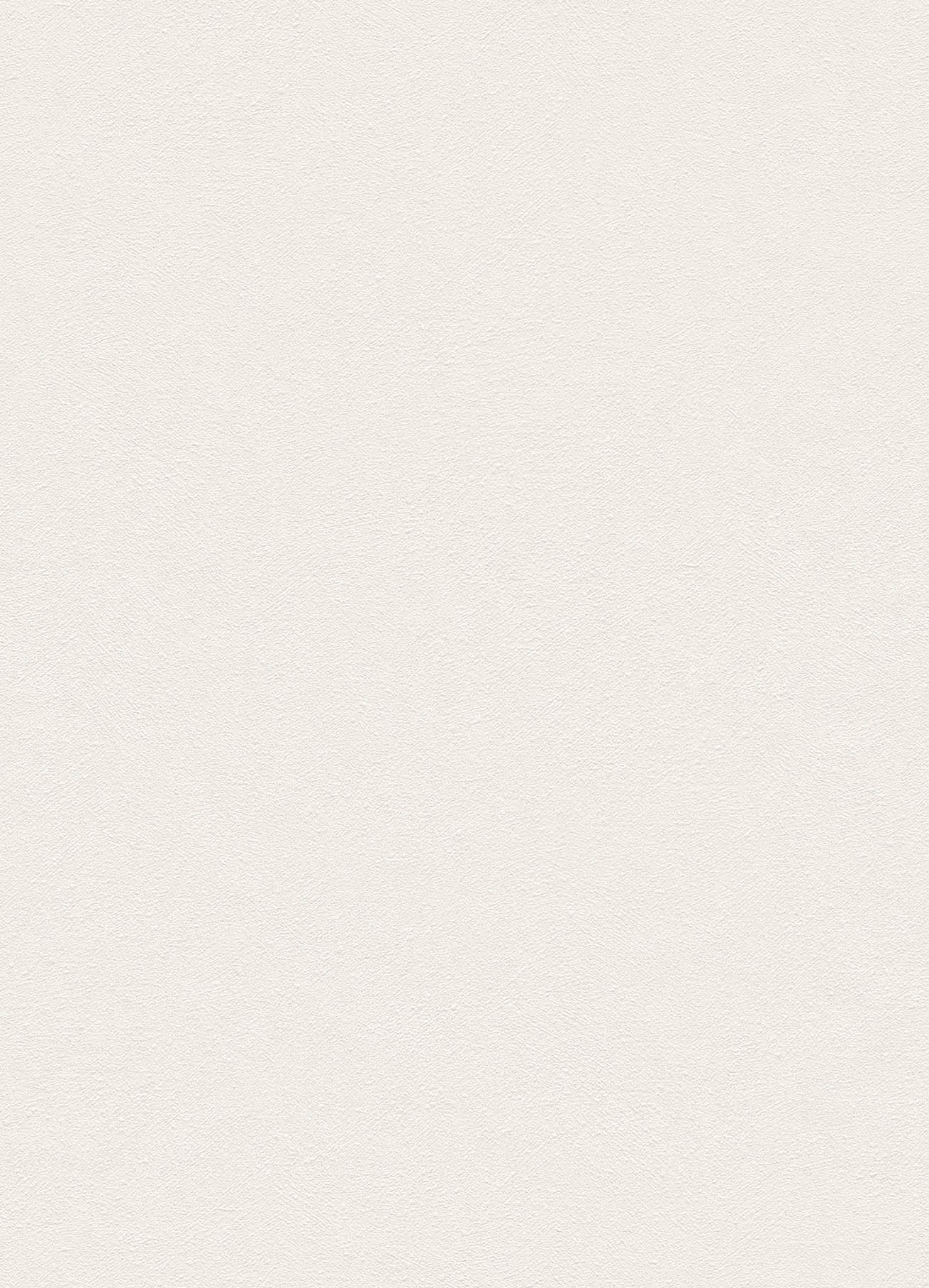 BB-2031　ベスト 25-27