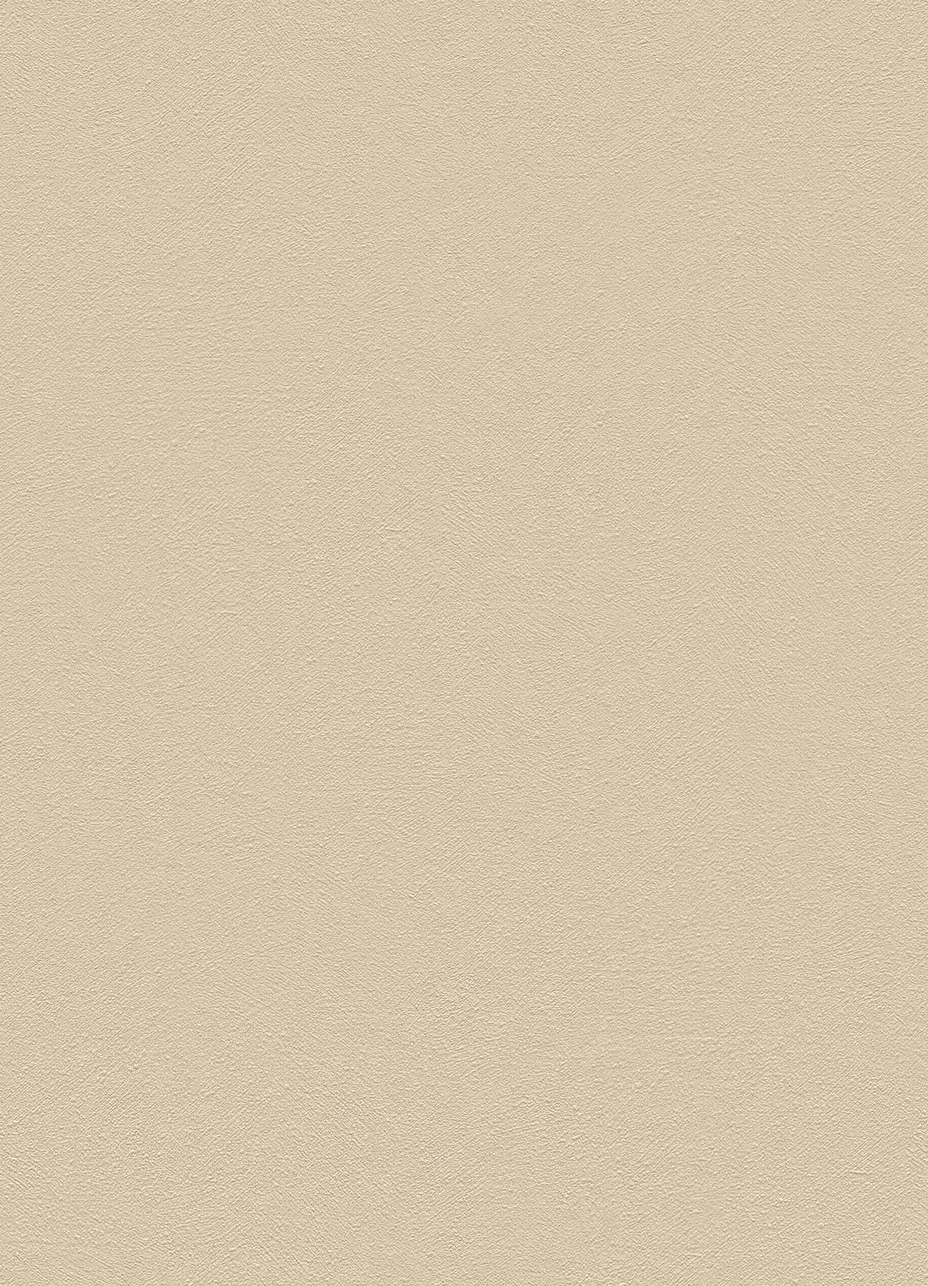 BB-2156　ベスト 25-27