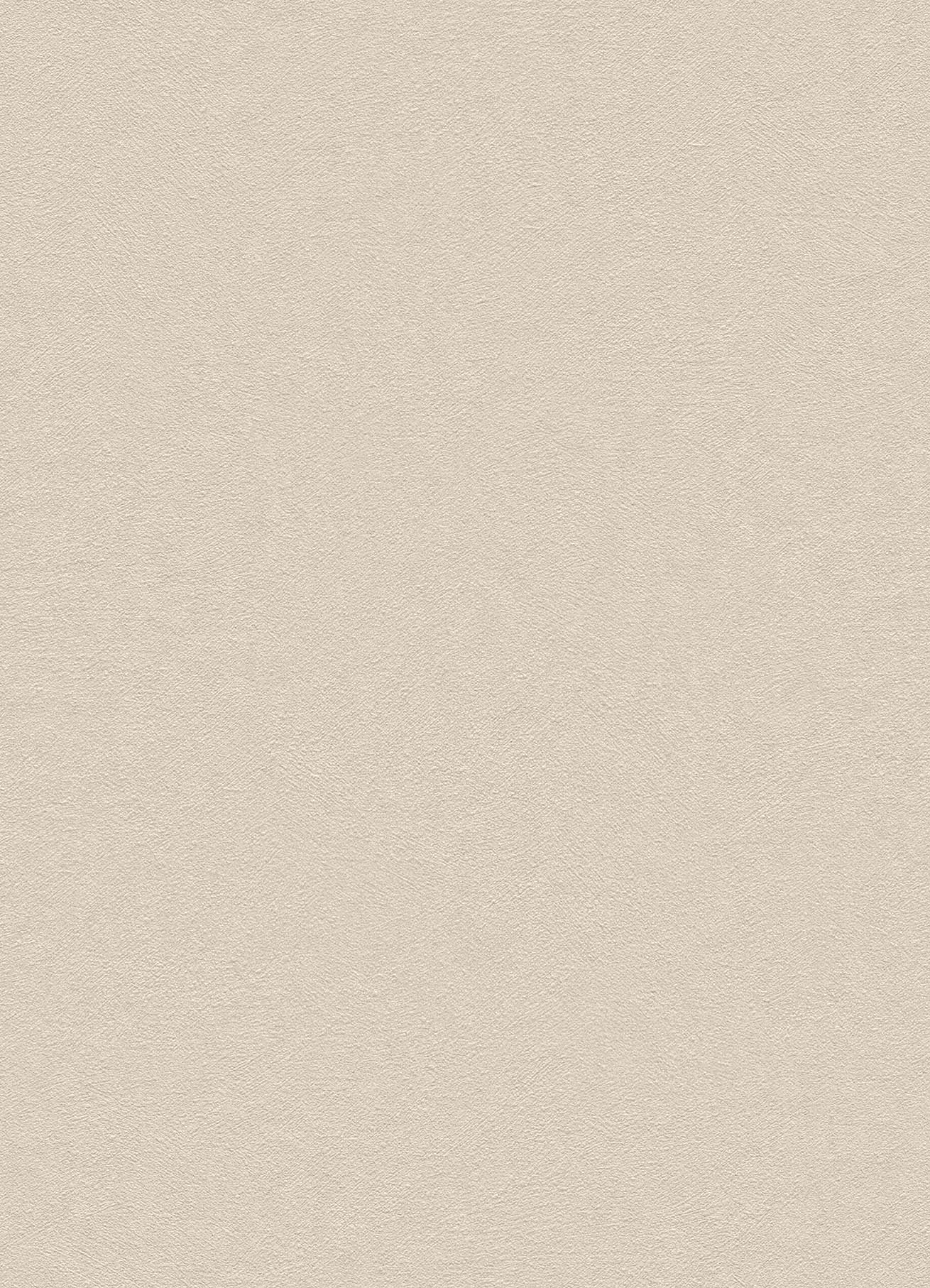 BB-2213　ベスト 25-27