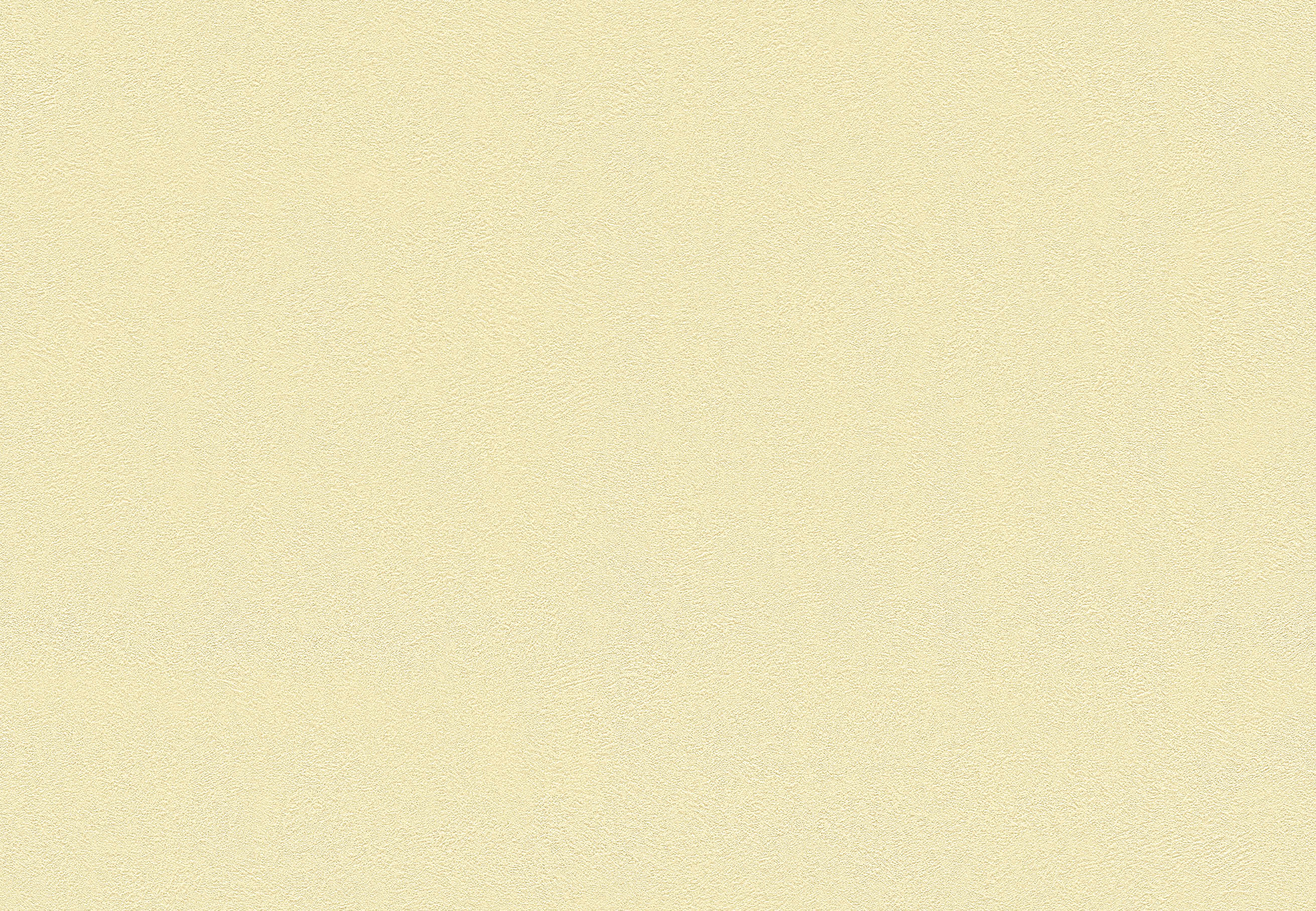 BB-2333　ベスト 25-27