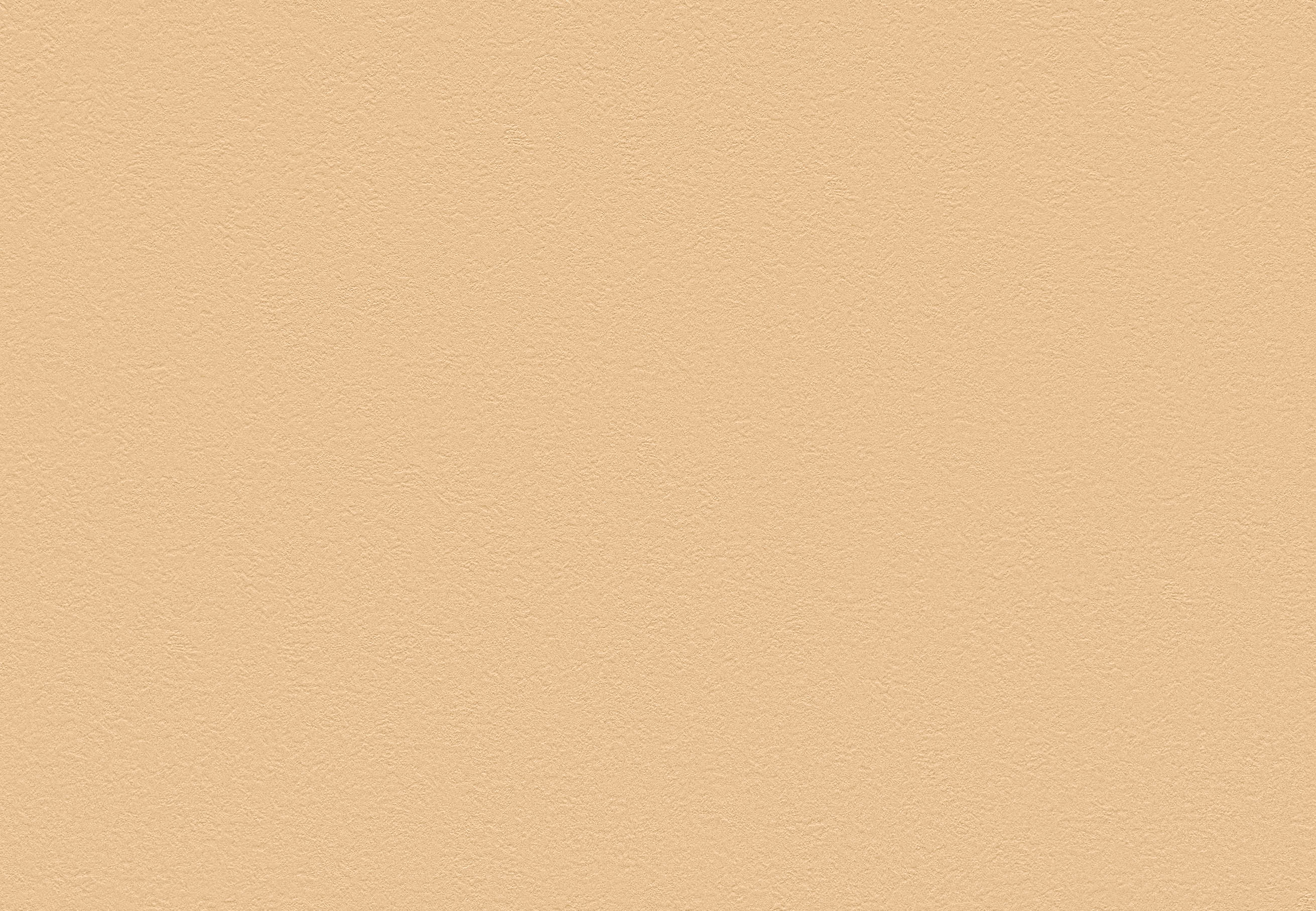 BB-2342　ベスト 25-27