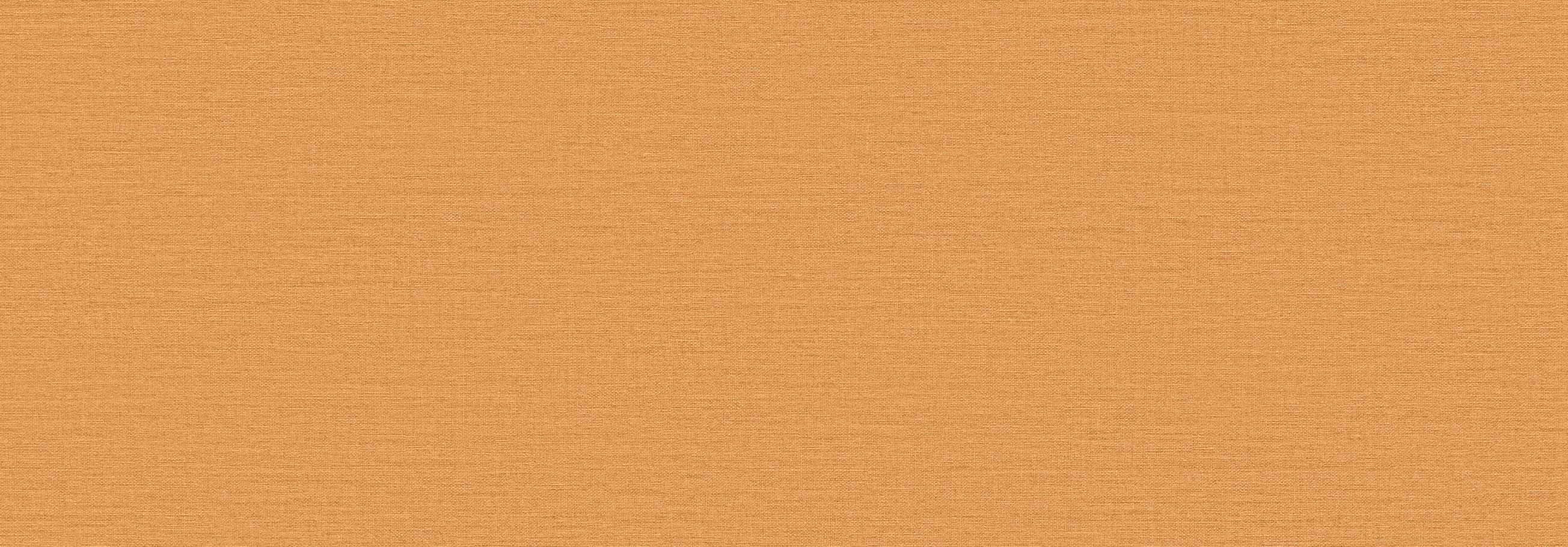 BB-2343　ベスト 25-27