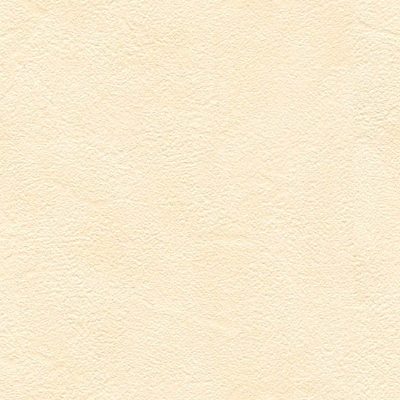 BB-2345　ベスト 25-27