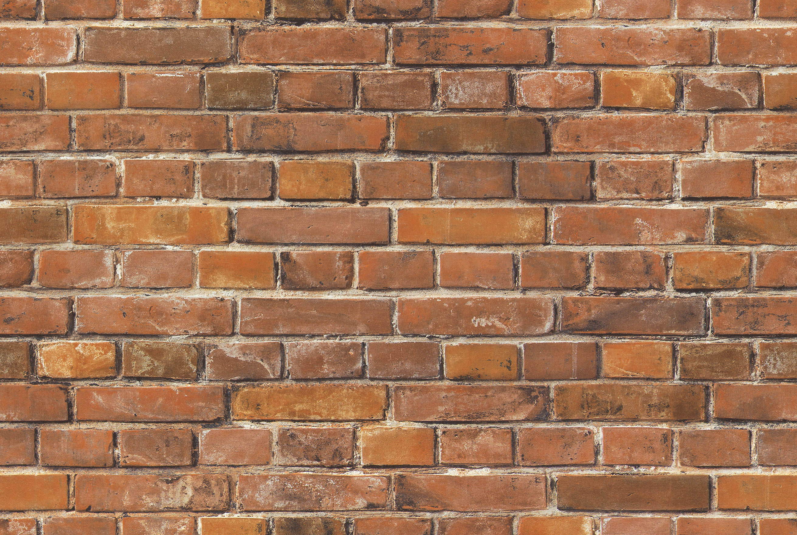 BB-2447　ベスト 25-27