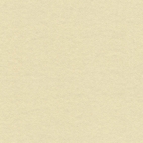 BB-2462　ベスト 25-27