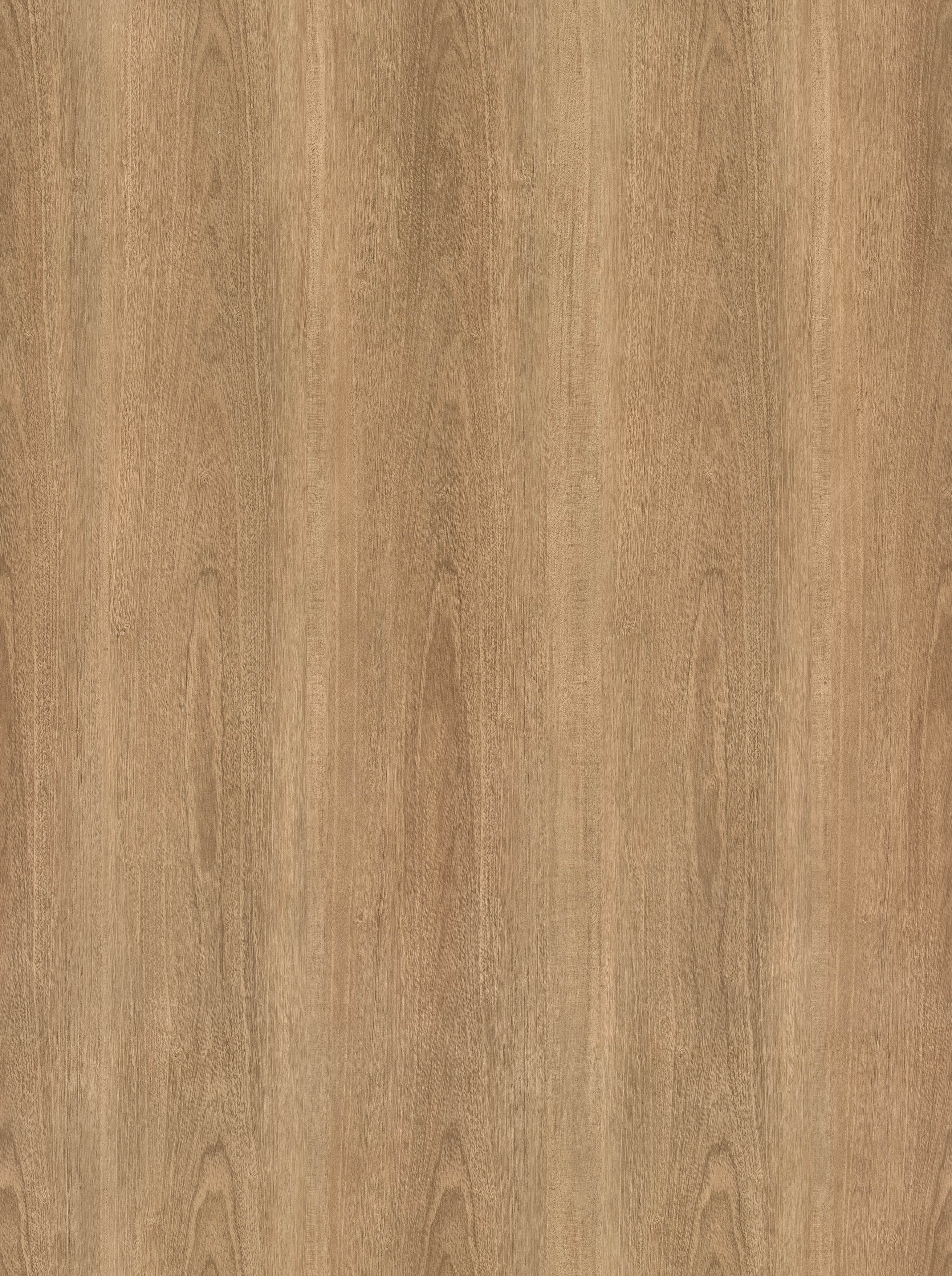 BB-2471　ベスト 25-27