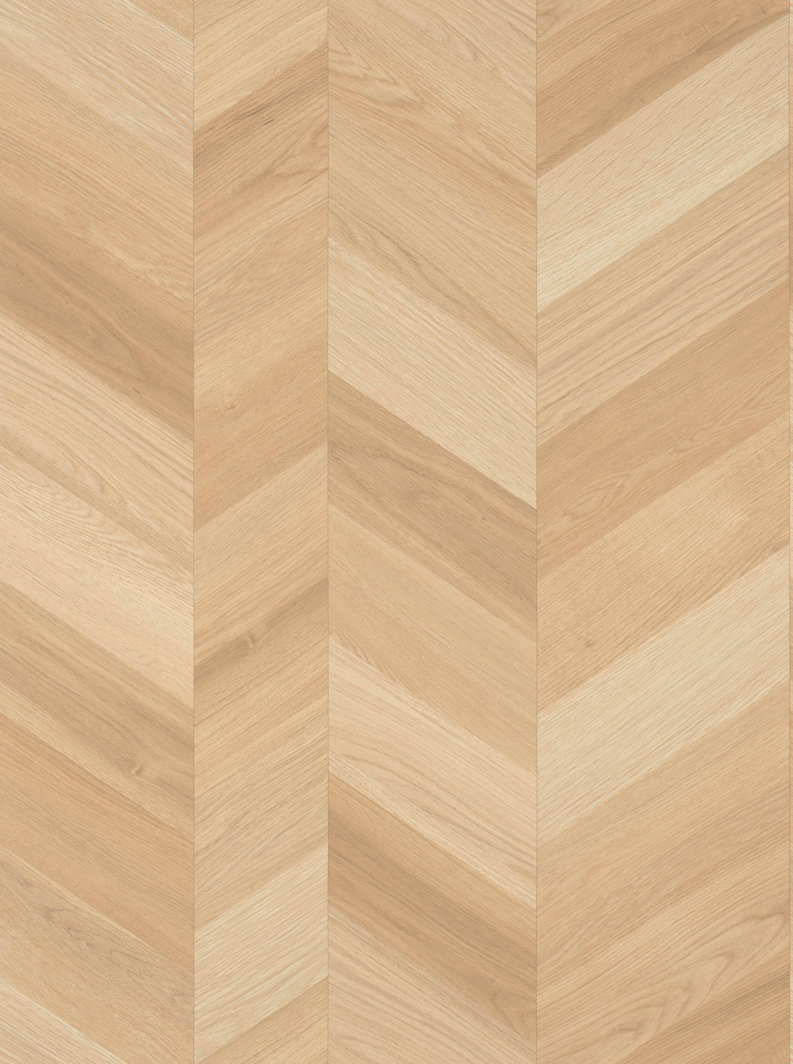 BB-2481　ベスト 25-27