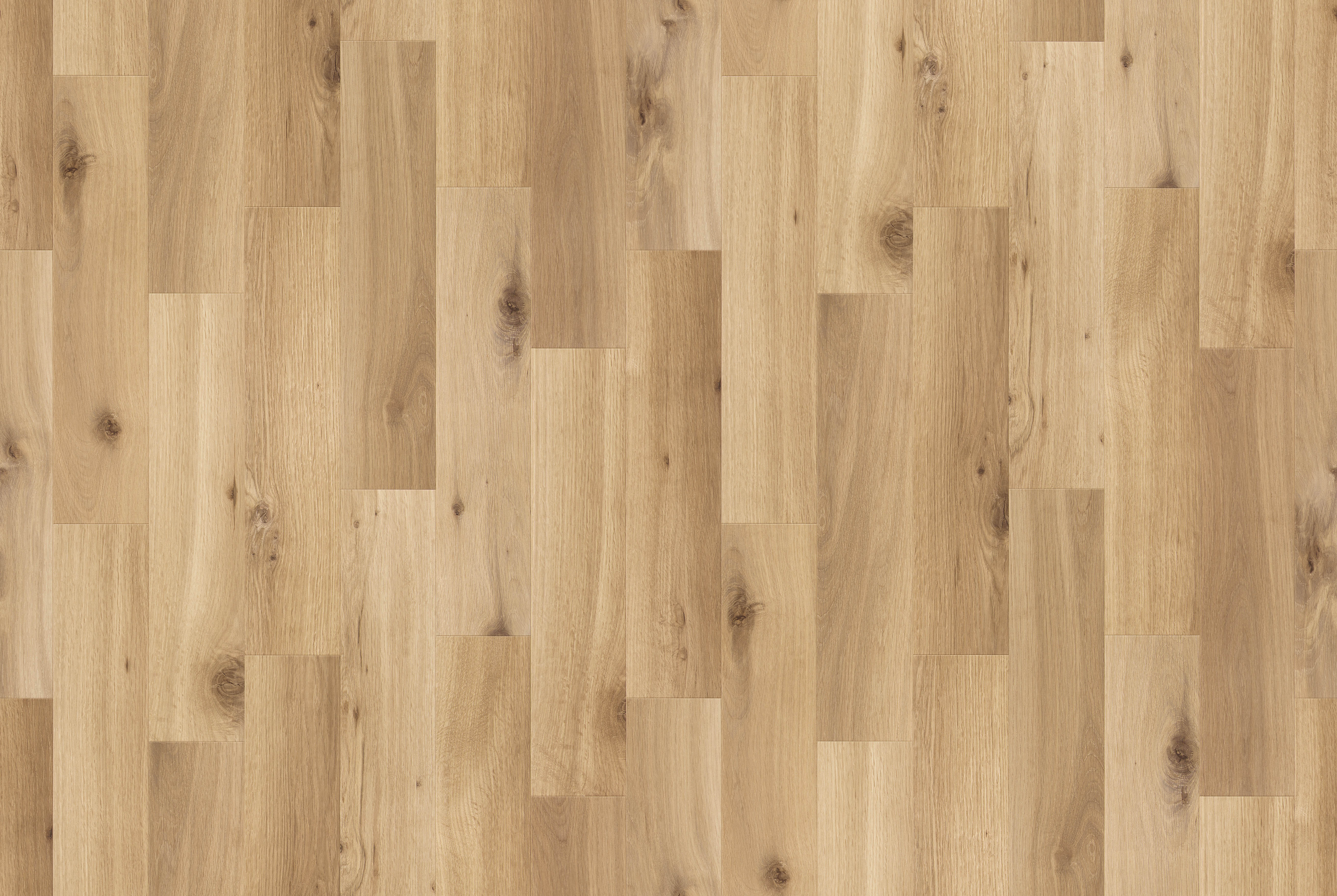 BB-2486　ベスト 25-27