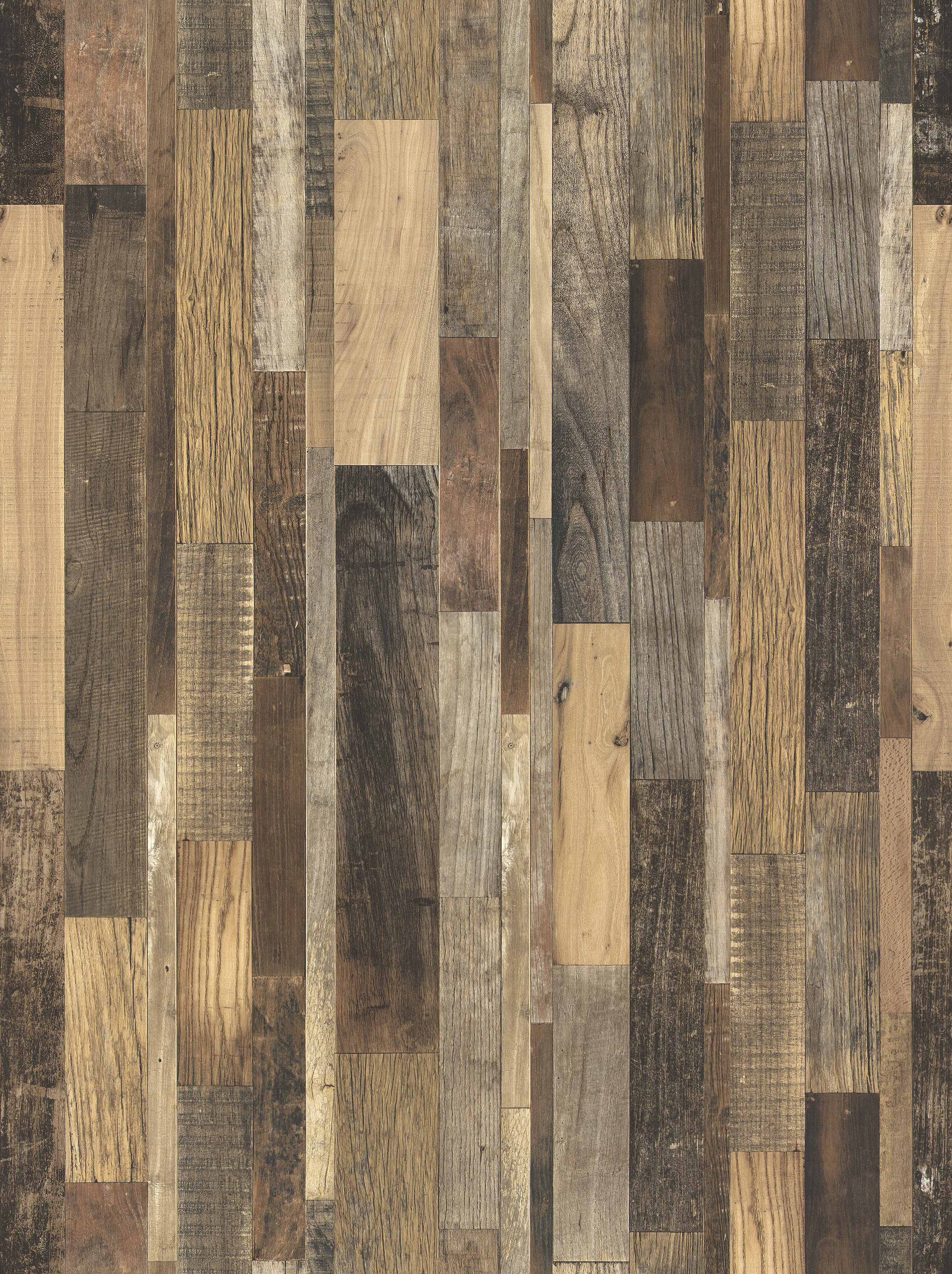 BB-2488　ベスト 25-27