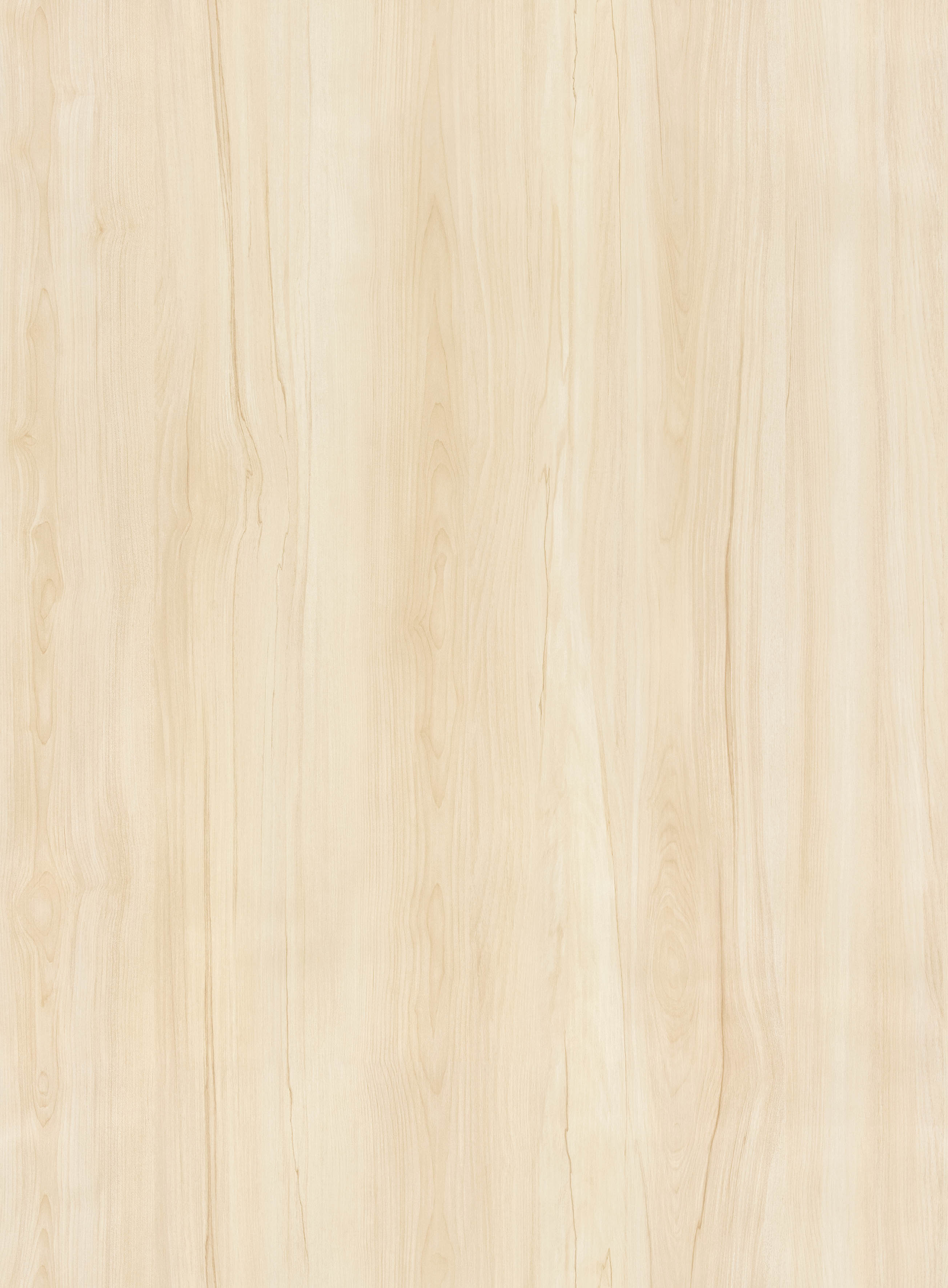 BB-2498　ベスト 25-27