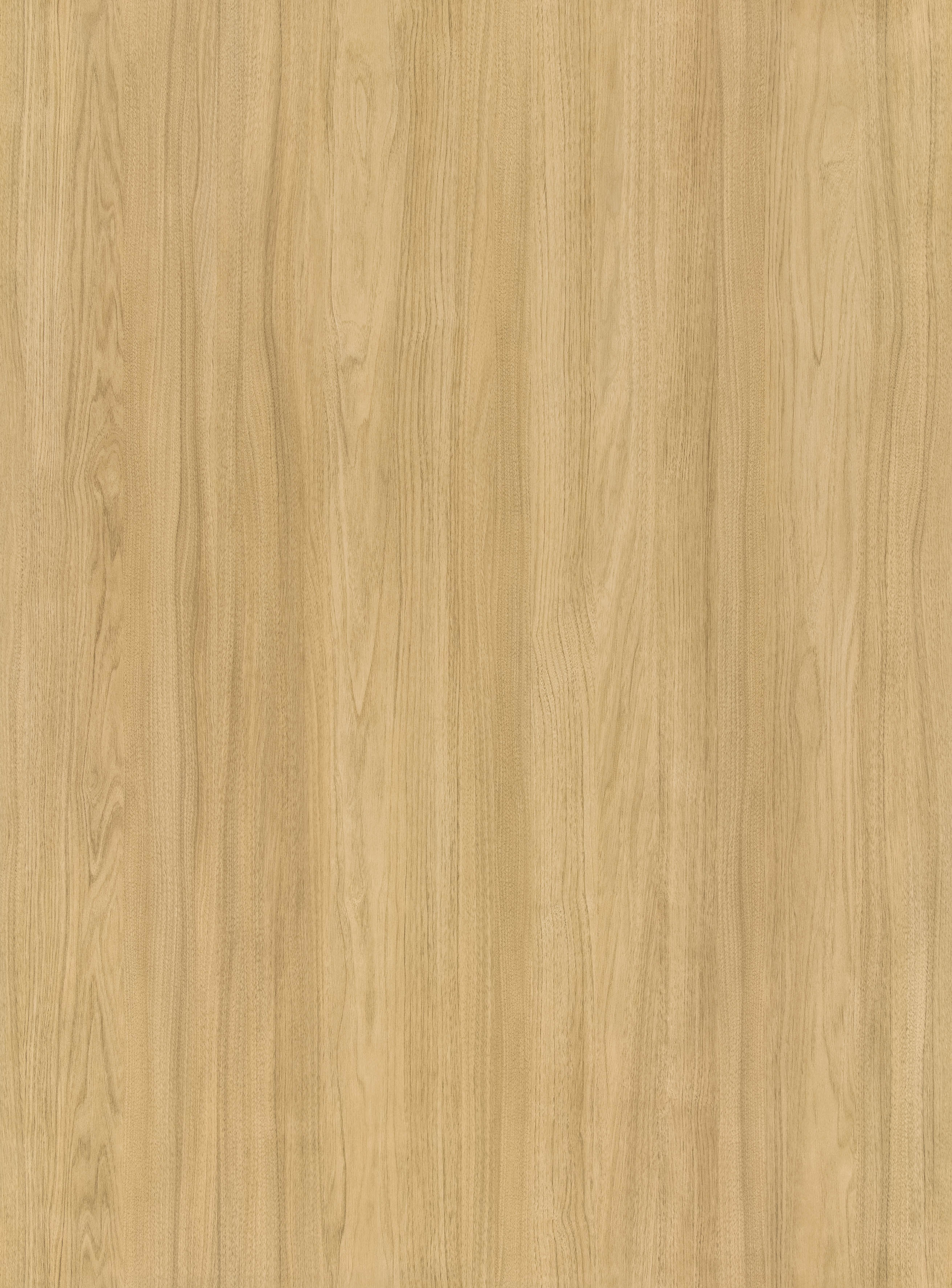 BB-2501　ベスト 25-27