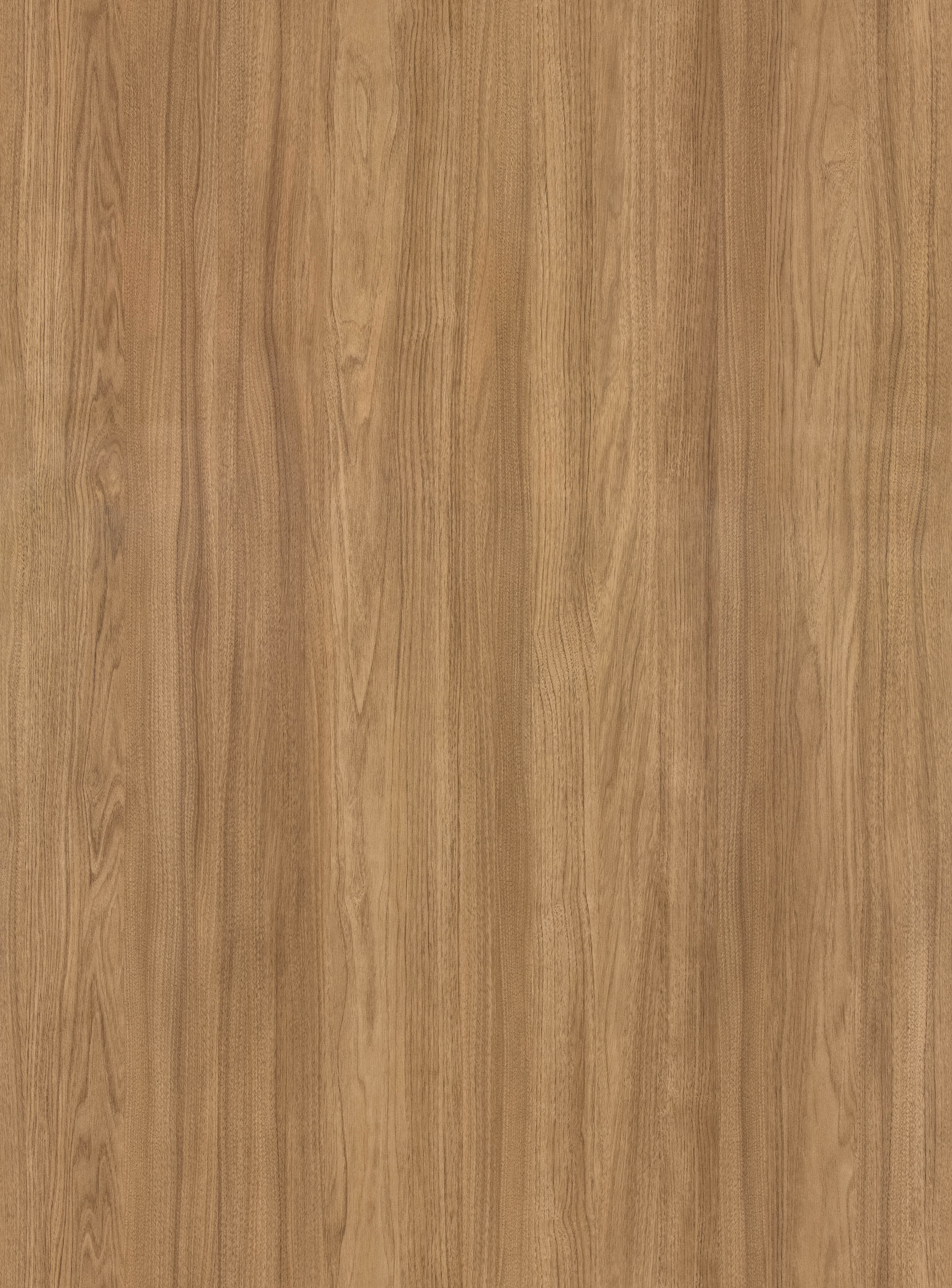 BB-2502　ベスト 25-27