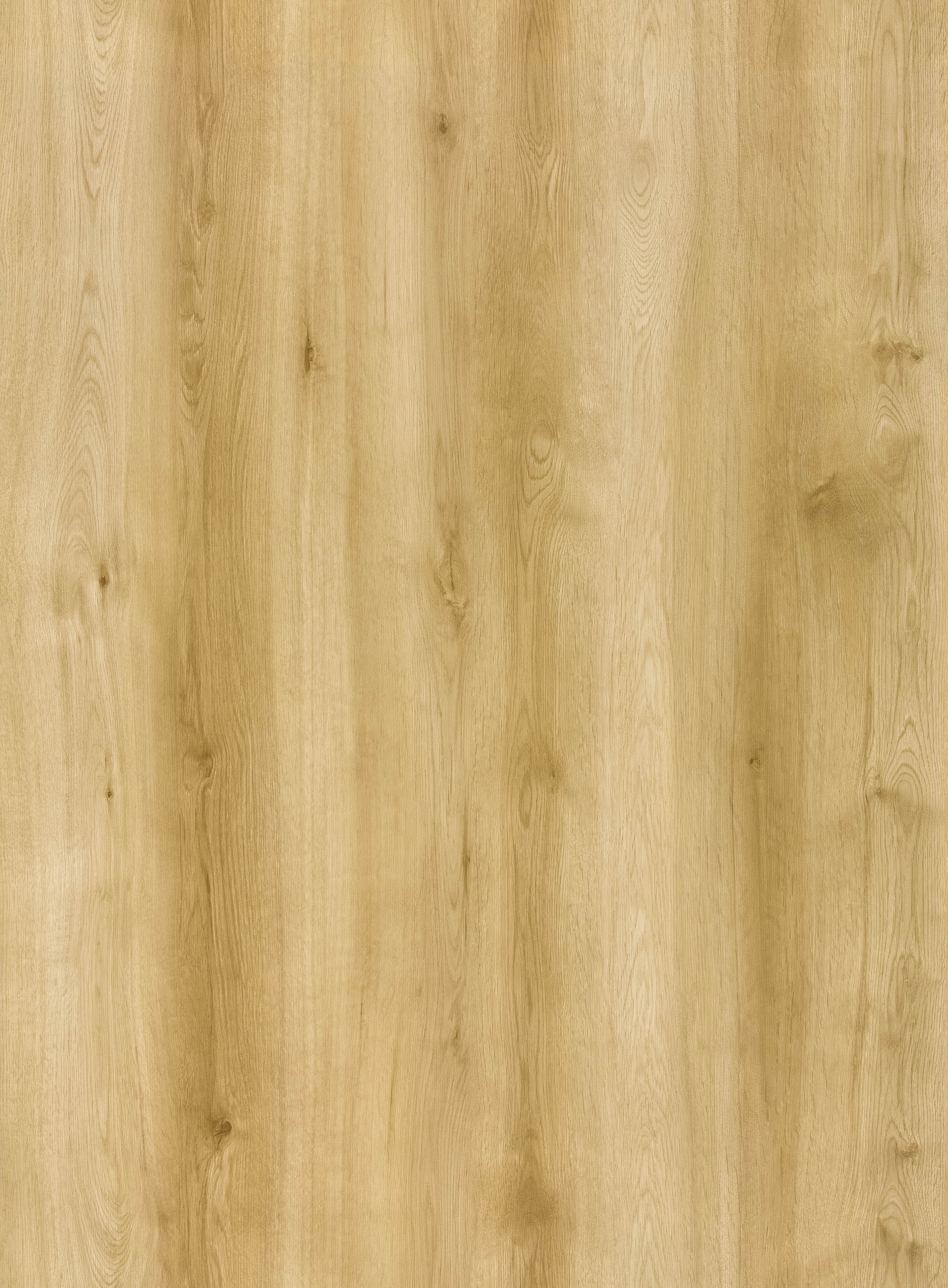 BB-2503　ベスト 25-27