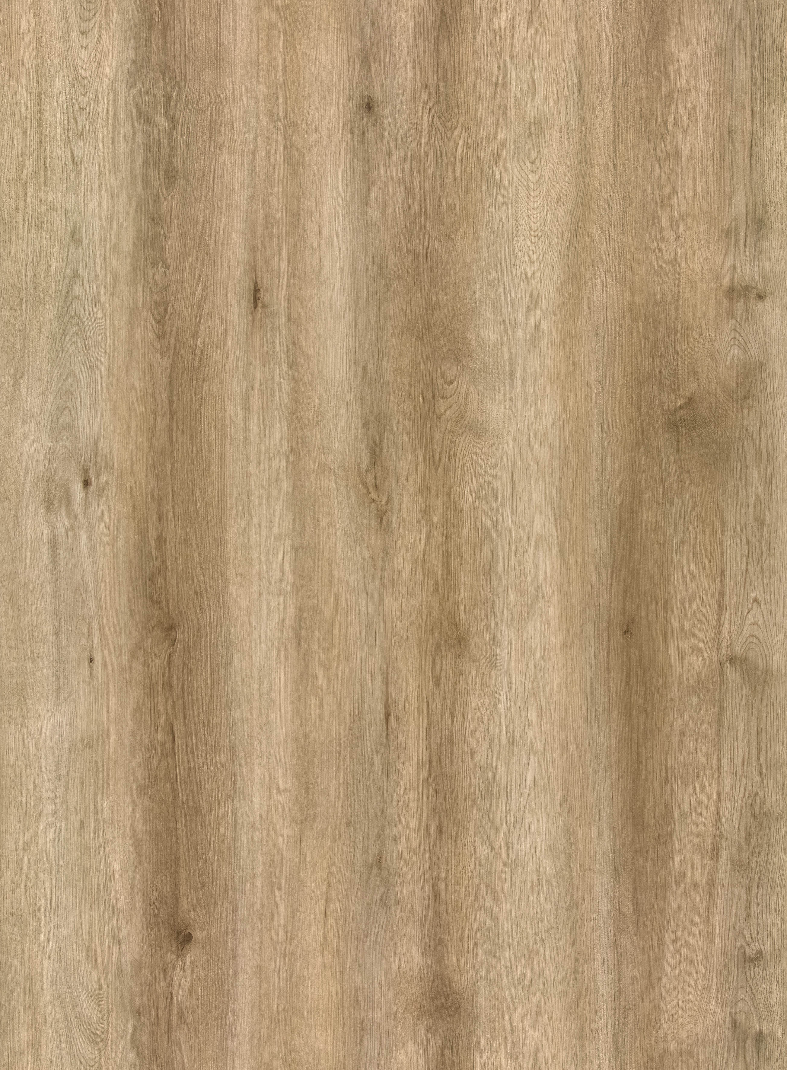 BB-2504　ベスト 25-27