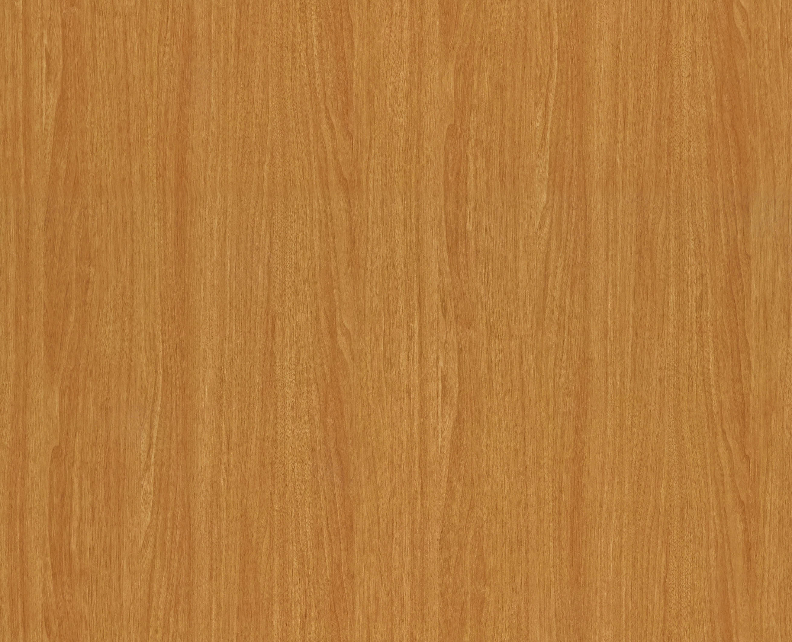 BB-2525　ベスト 25-27