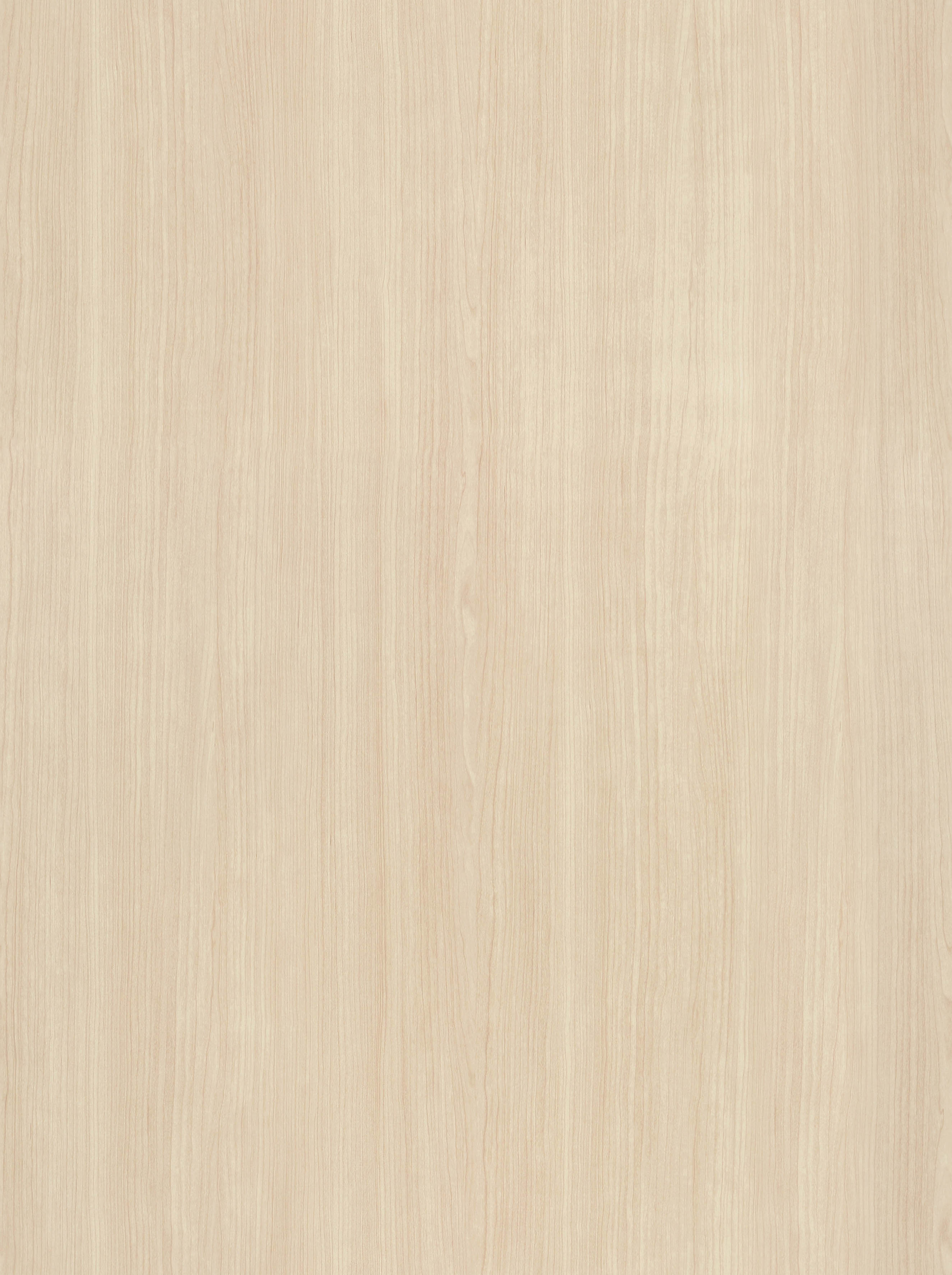 BB-2533　ベスト 25-27