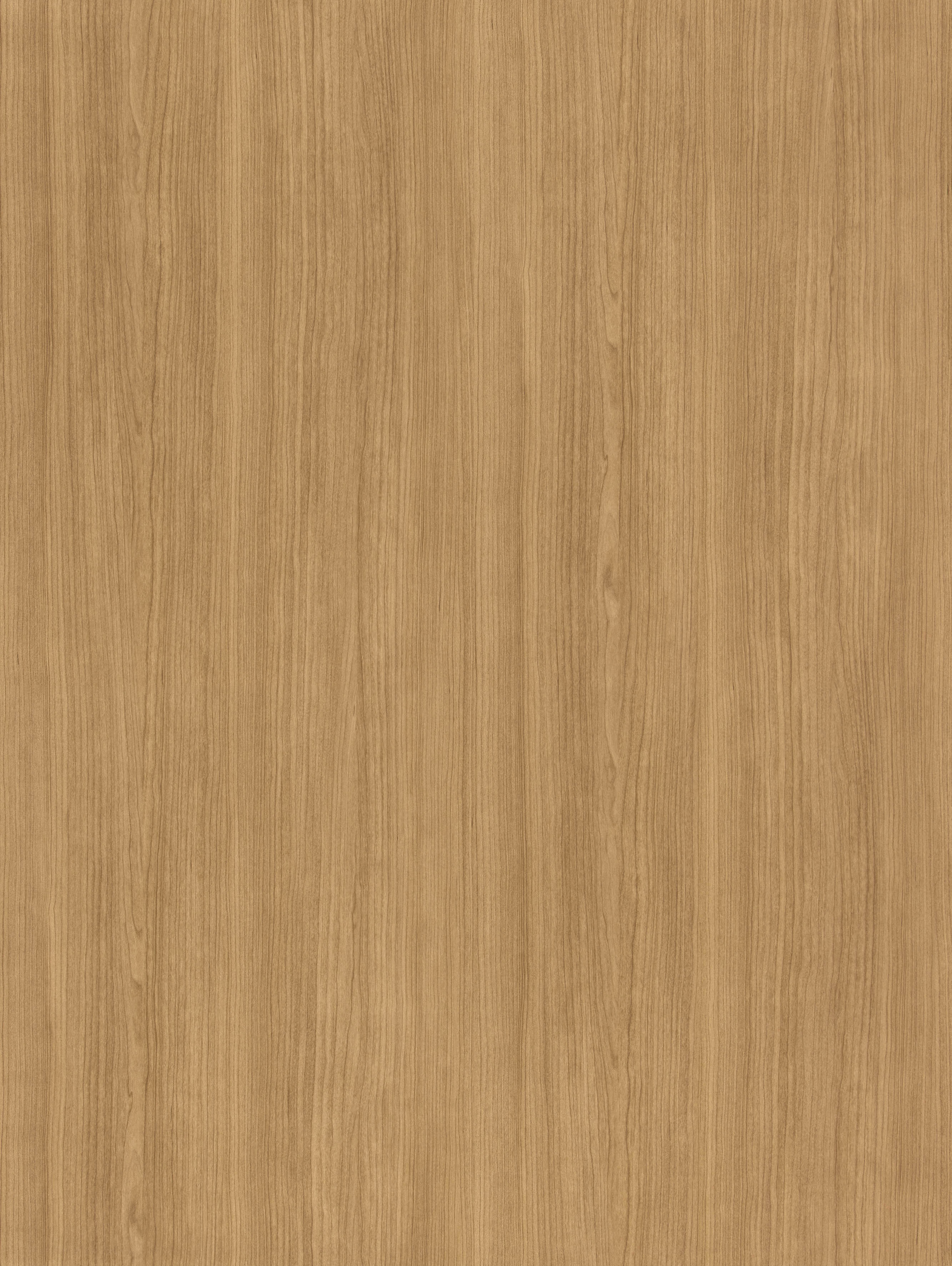 BB-2534　ベスト 25-27