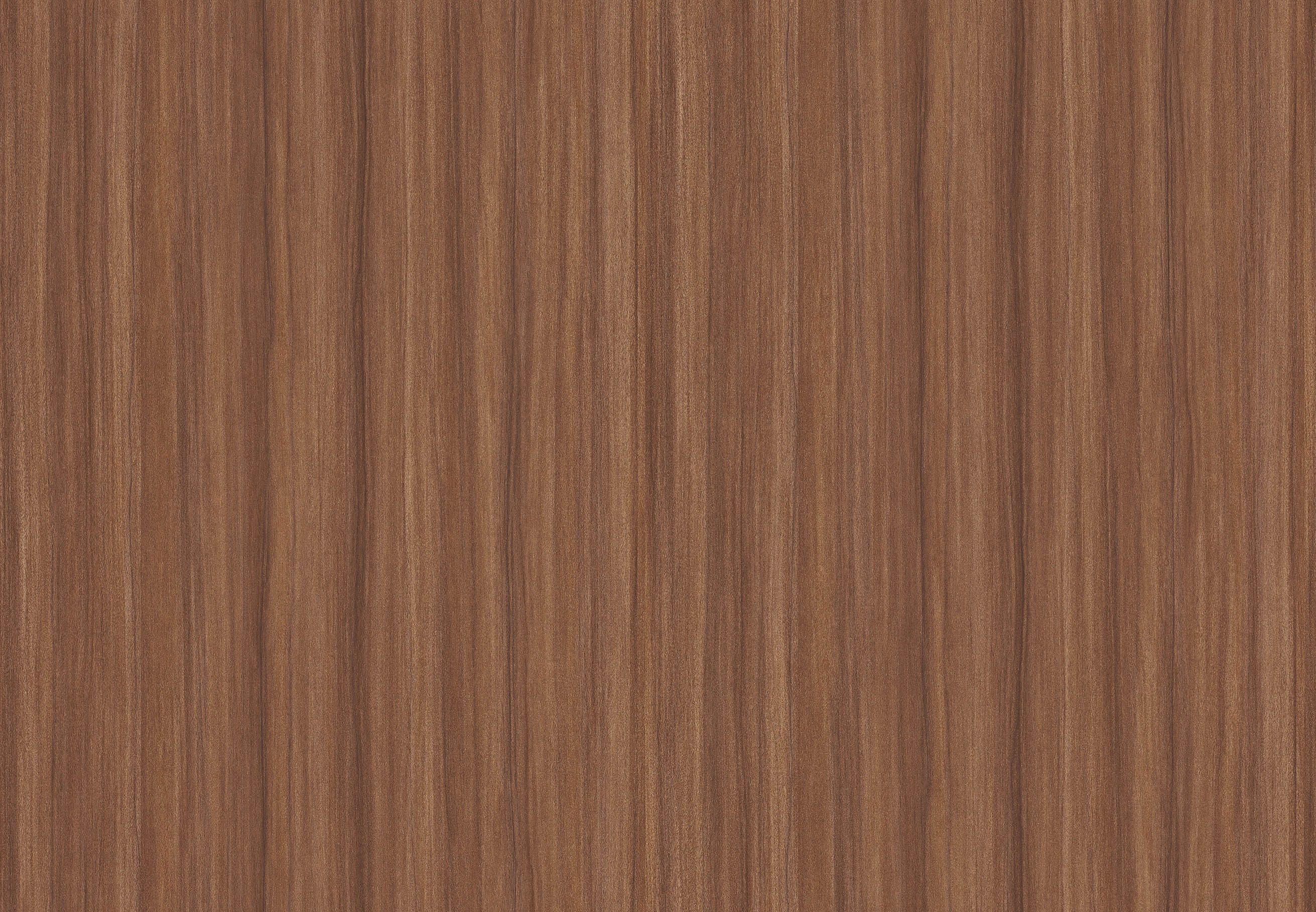 BB-2538　ベスト 25-27