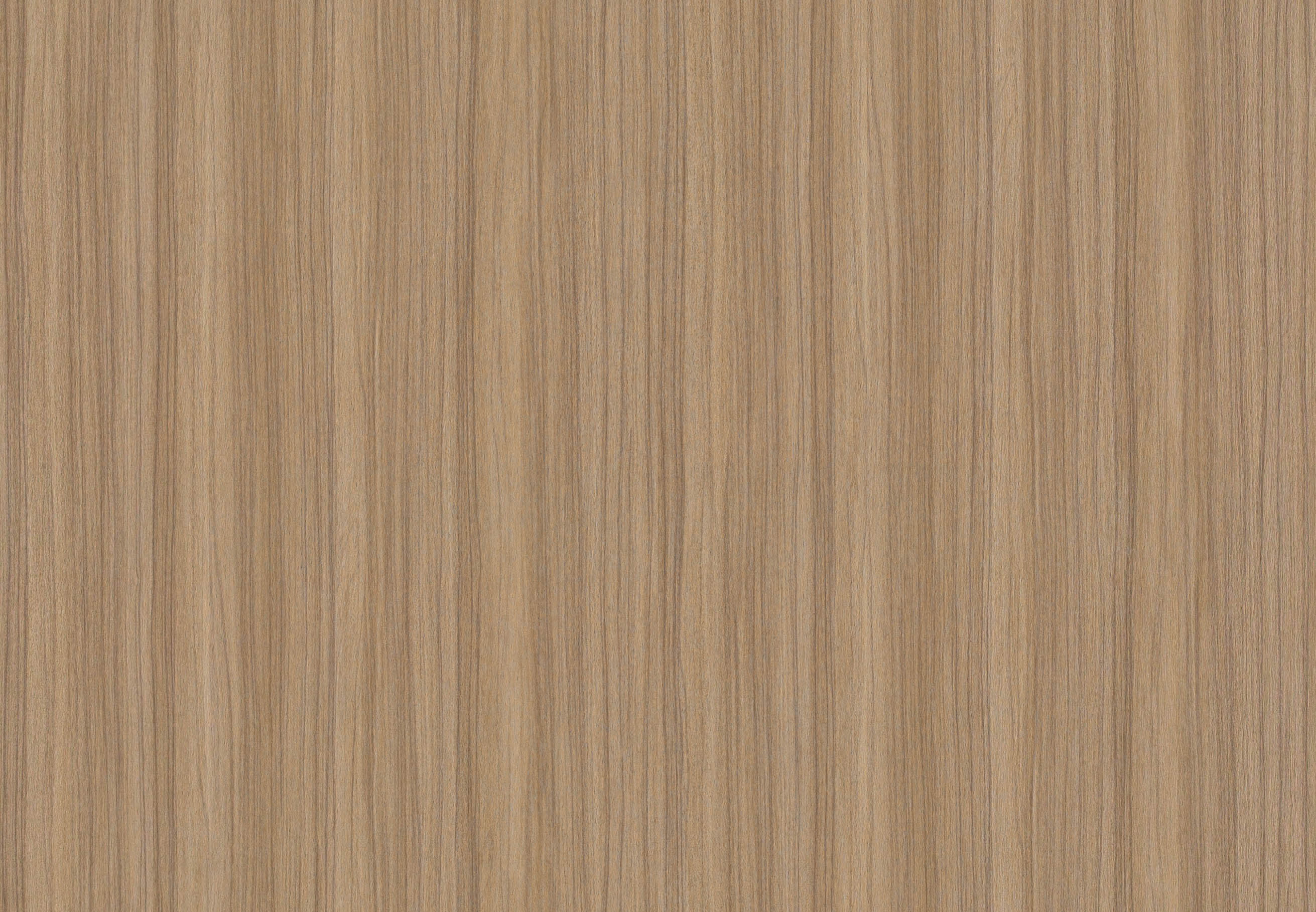 BB-2540　ベスト 25-27