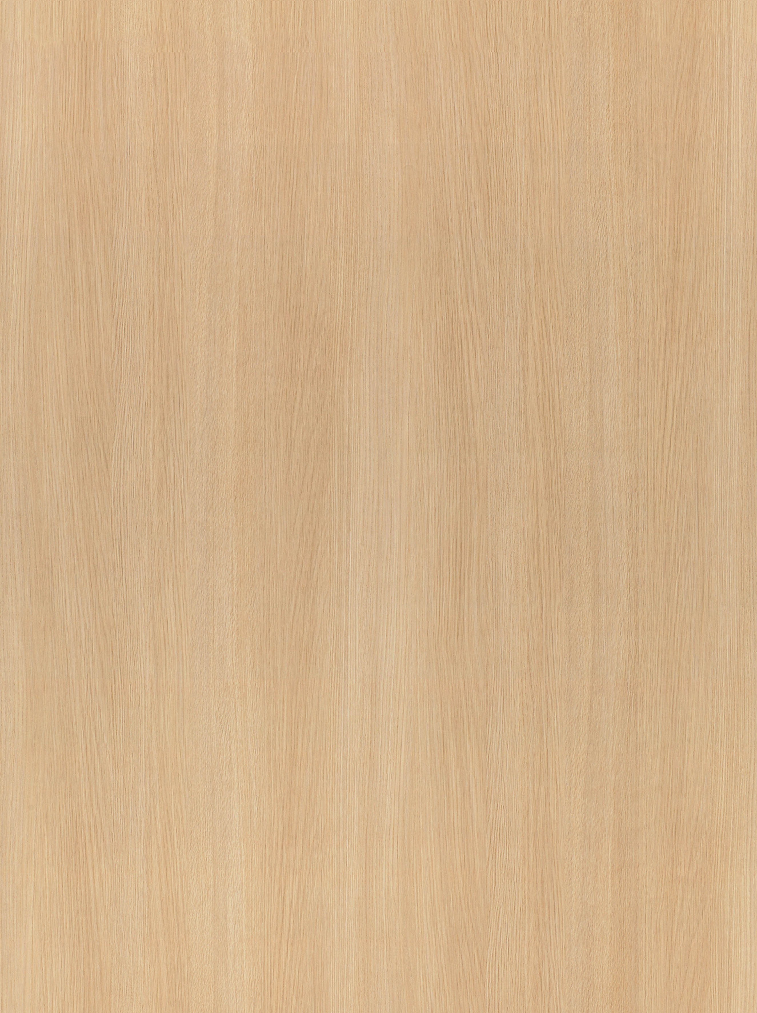 BB-2542　ベスト 25-27