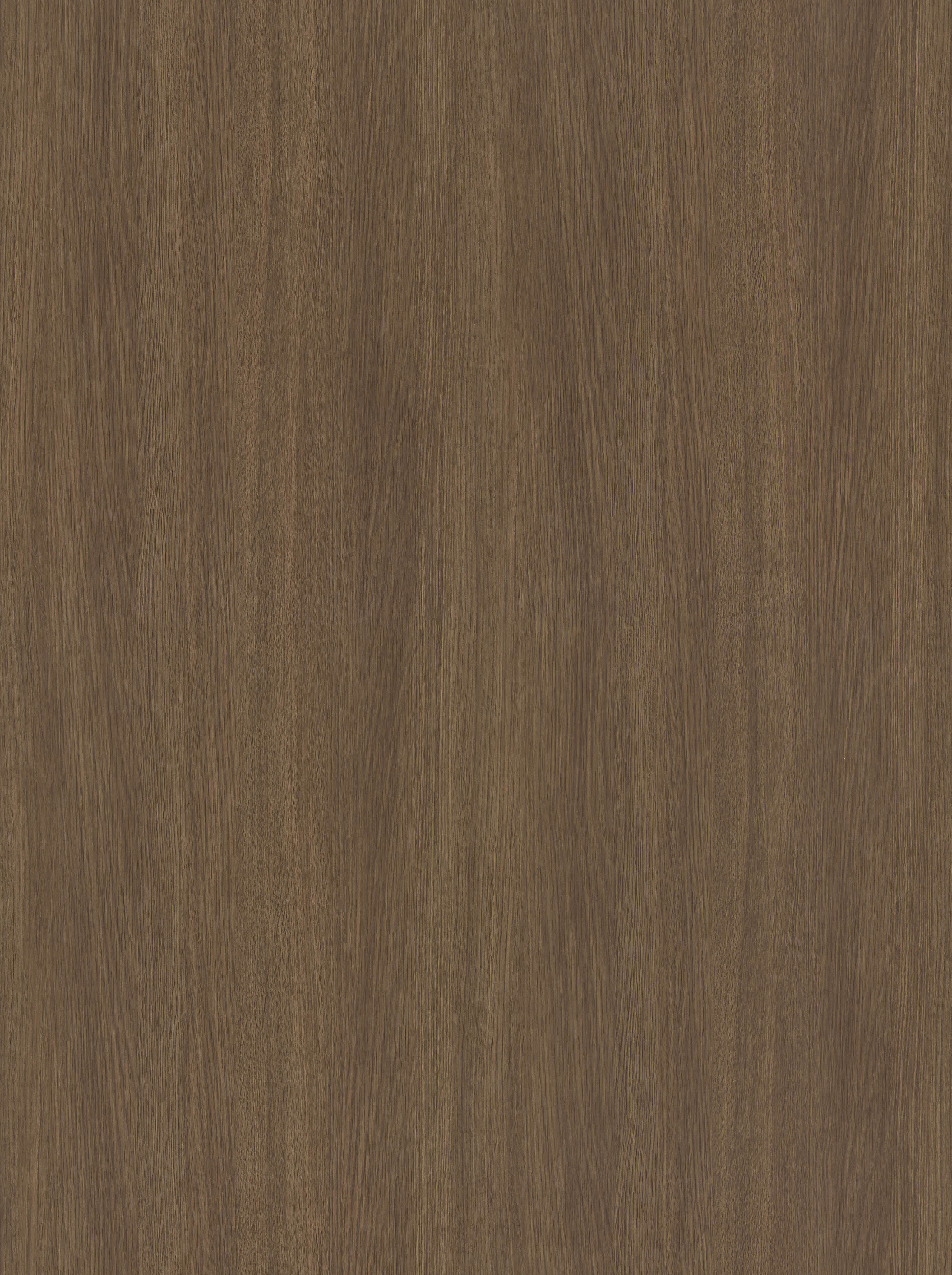 BB-2543　ベスト 25-27