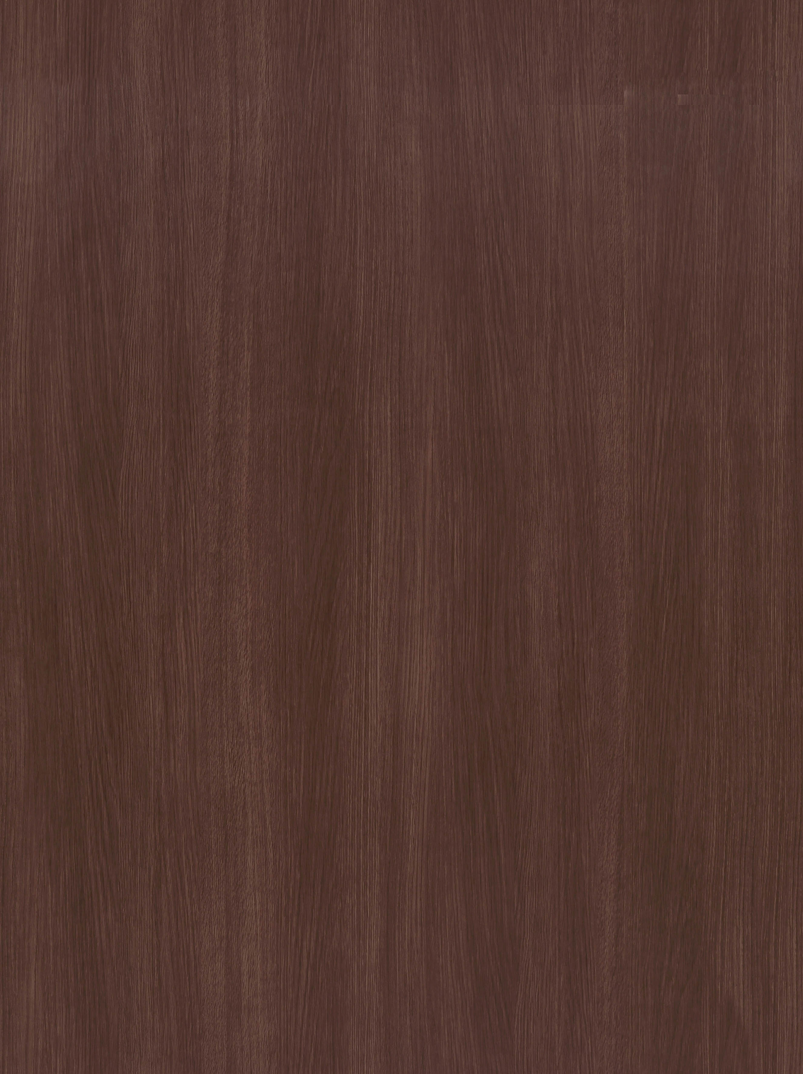 BB-2544　ベスト 25-27