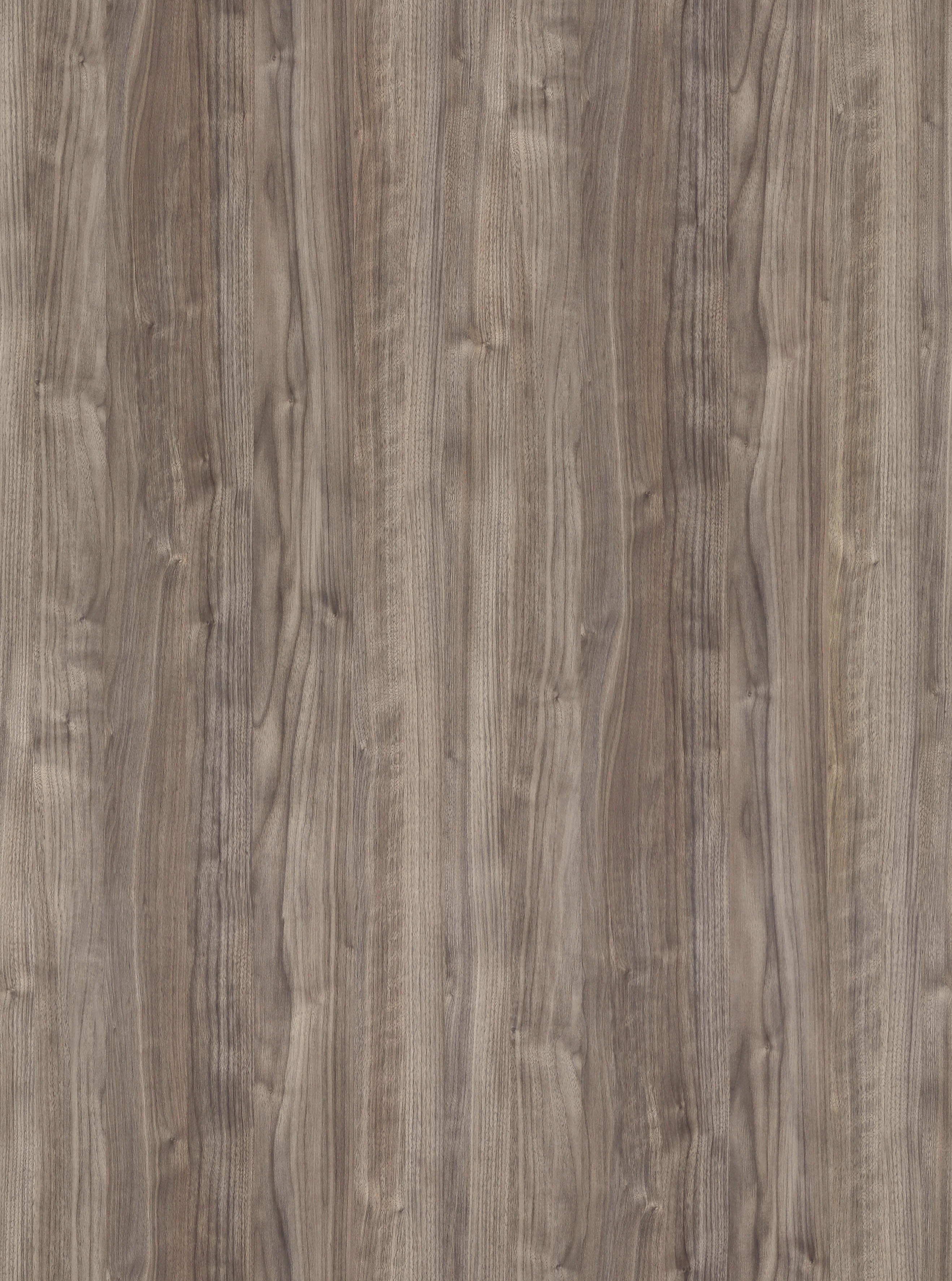 BB-2545　ベスト 25-27