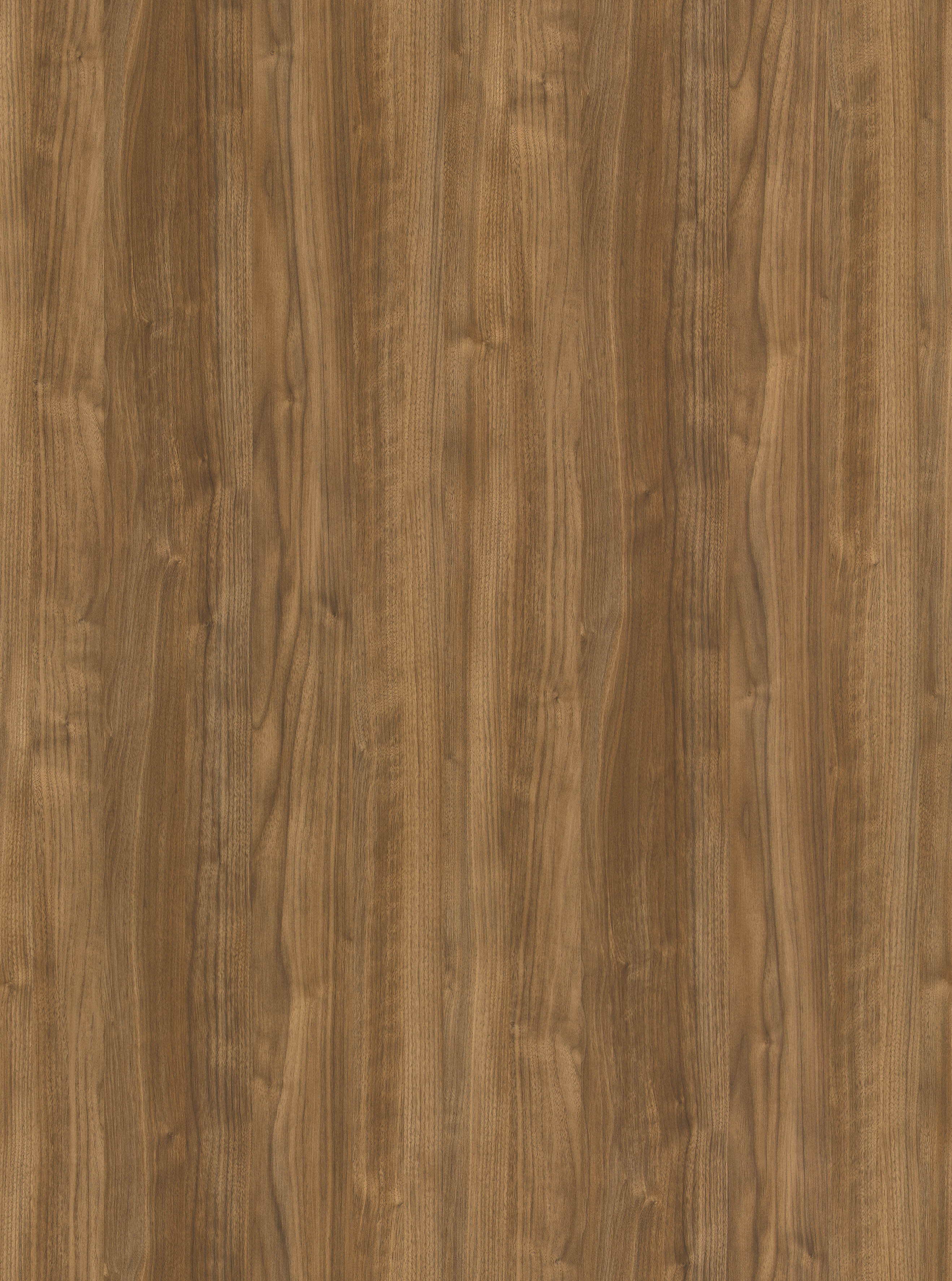 BB-2546　ベスト 25-27