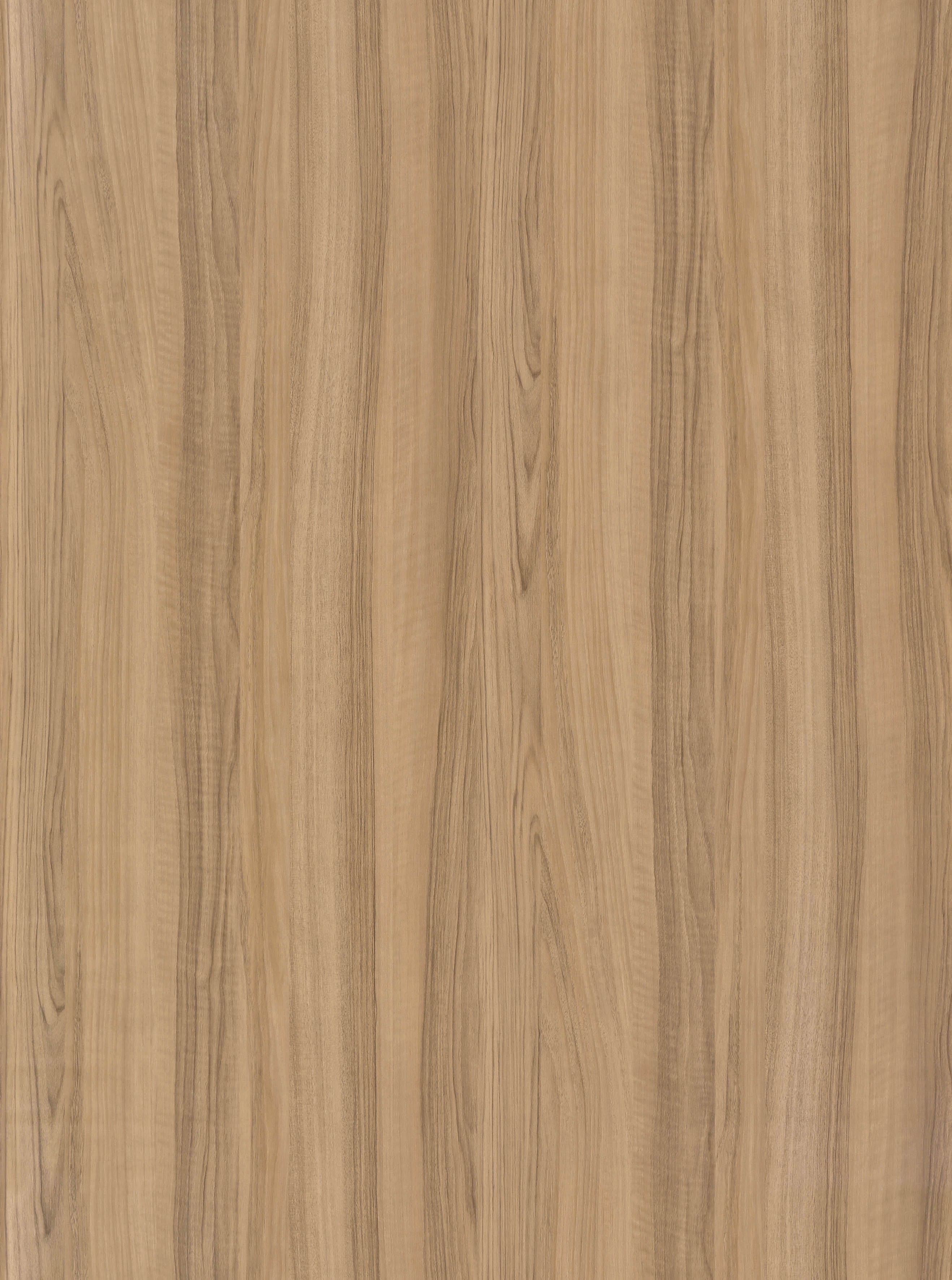 BB-2549　ベスト 25-27