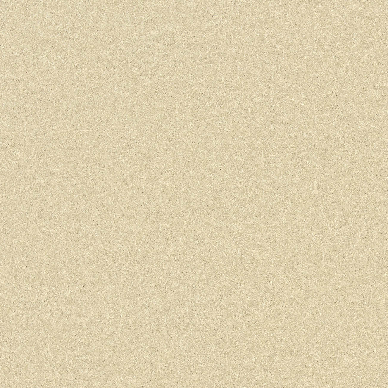 BB-2656　ベスト 25-27