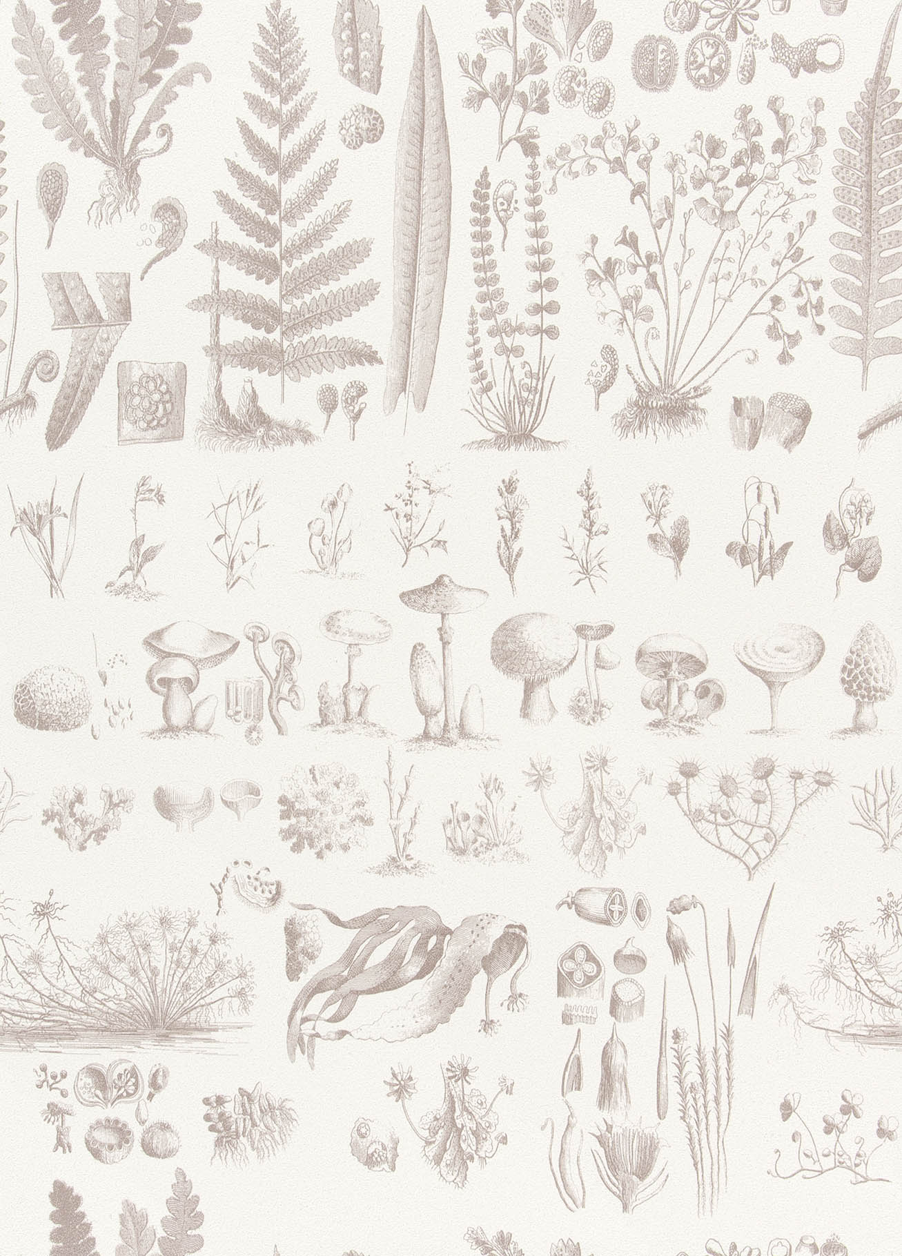 BB-2730　ベスト 25-27