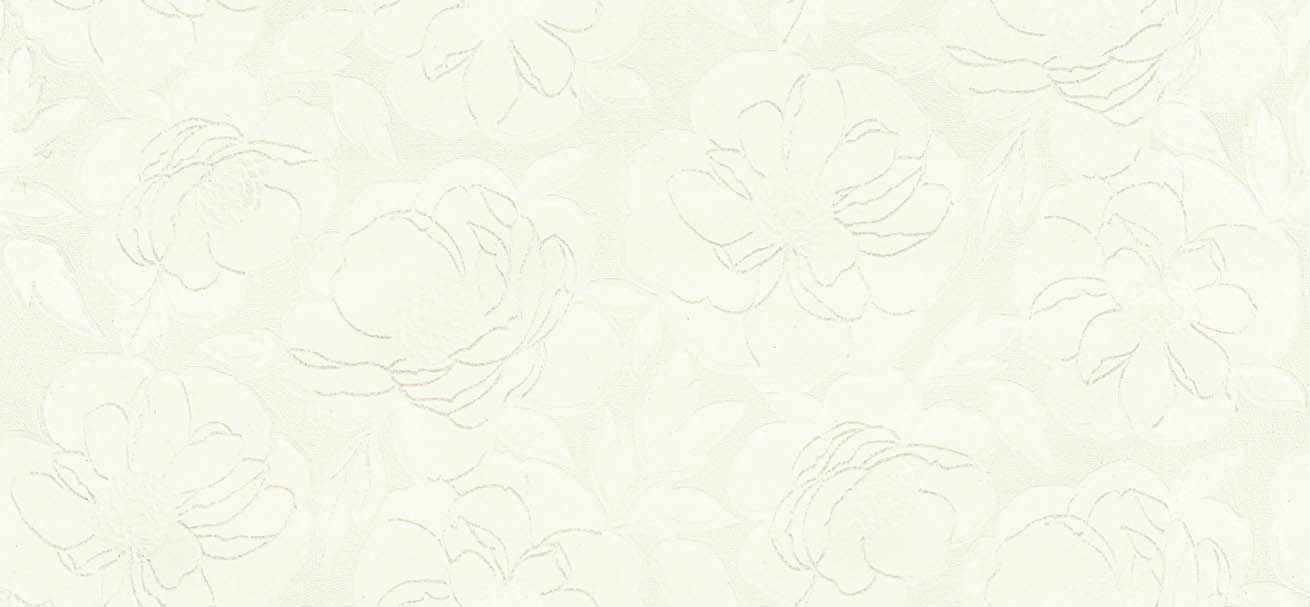 BB-2737　ベスト 25-27