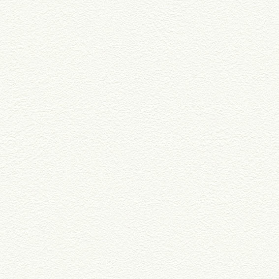 SLP-303 SLプラス 25-27