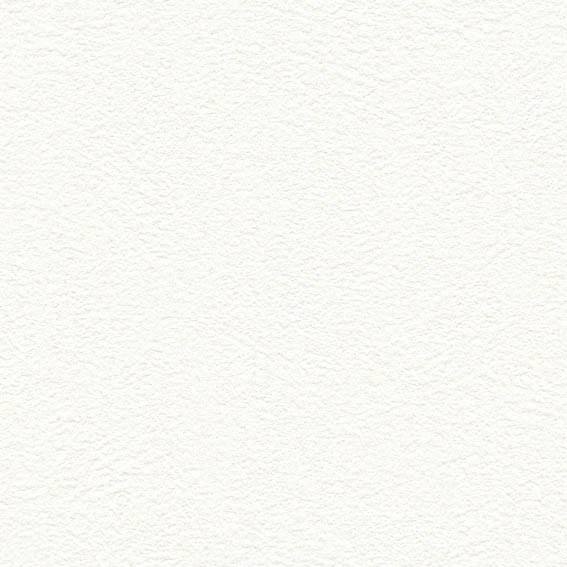 SLP-304 SLプラス 25-27