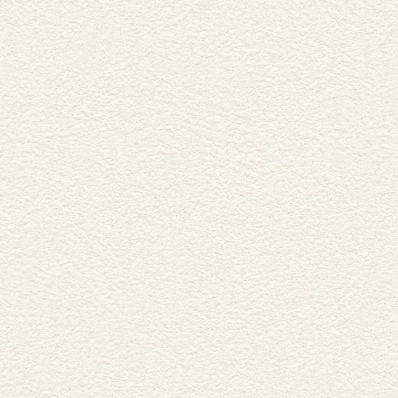 SLP-305 SLプラス 25-27