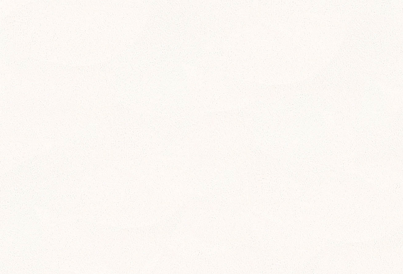 SLP-307 SLプラス 25-27