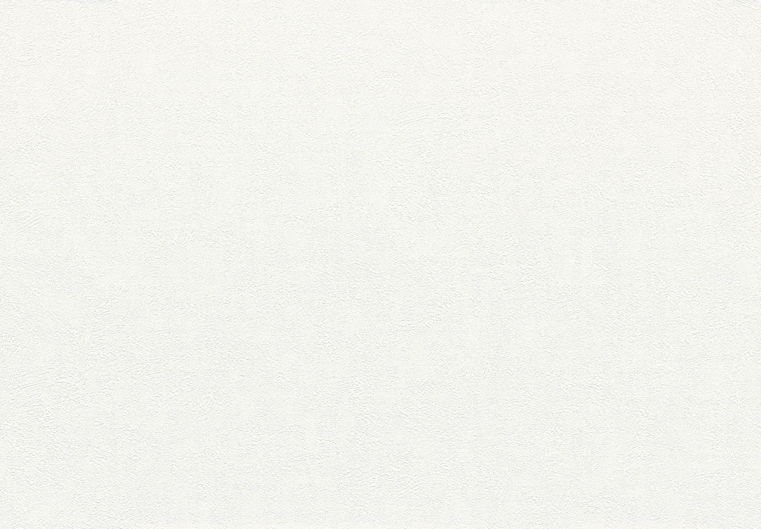 SLP-308 SLプラス 25-27