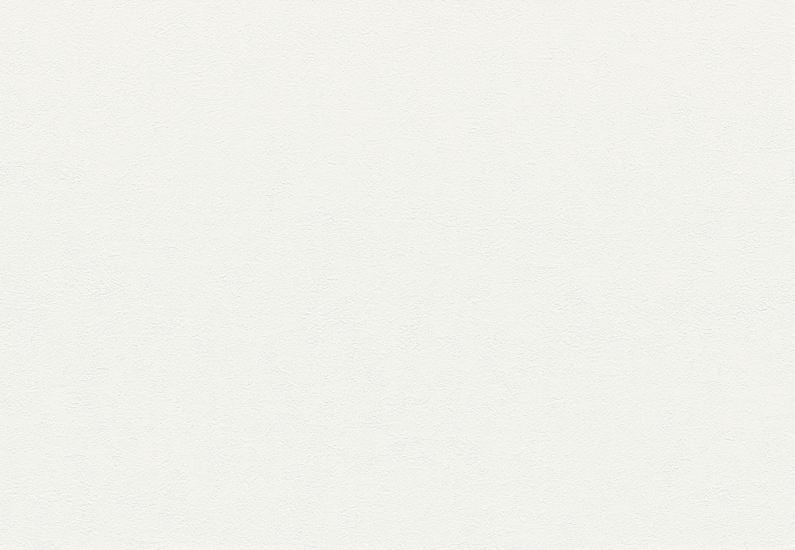 SLP-309 SLプラス 25-27