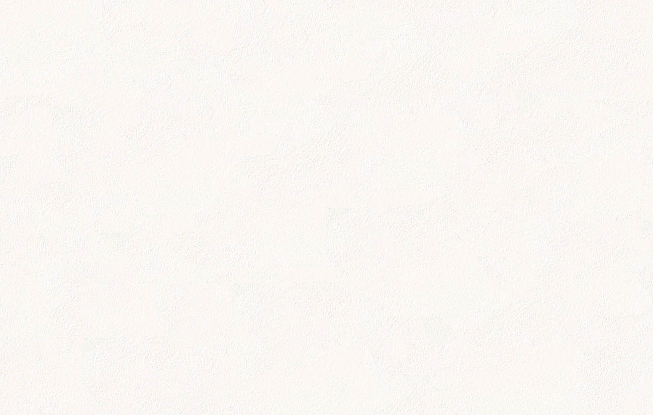 SLP-312 SLプラス 25-27