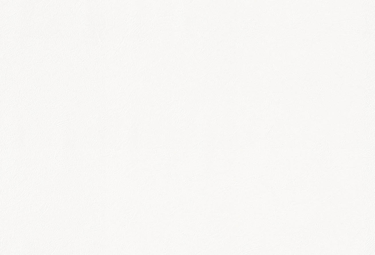 SLP-313 SLプラス 25-27