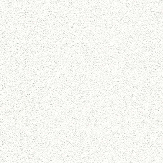 SLP-314 SLプラス 25-27