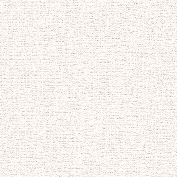 SLP-323 SLプラス 25-27