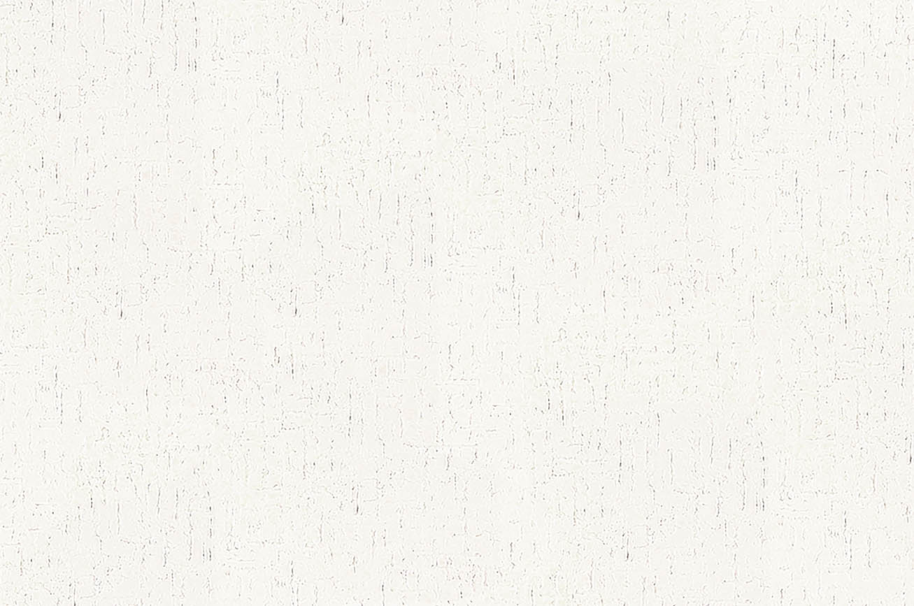 SLP-339 SLプラス 25-27