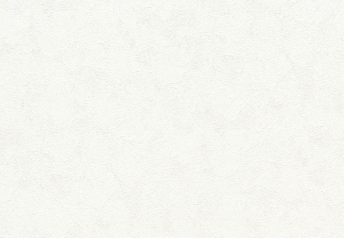 SLP-341 SLプラス 25-27