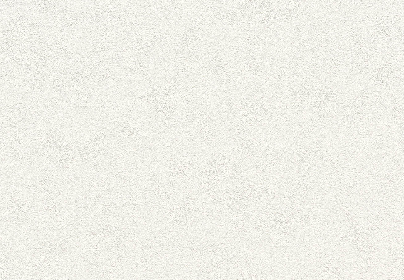 SLP-342 SLプラス 25-27