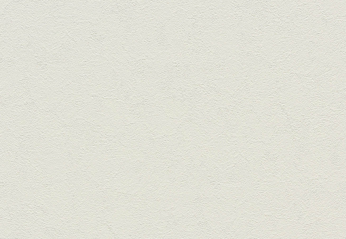 SLP-343 SLプラス 25-27