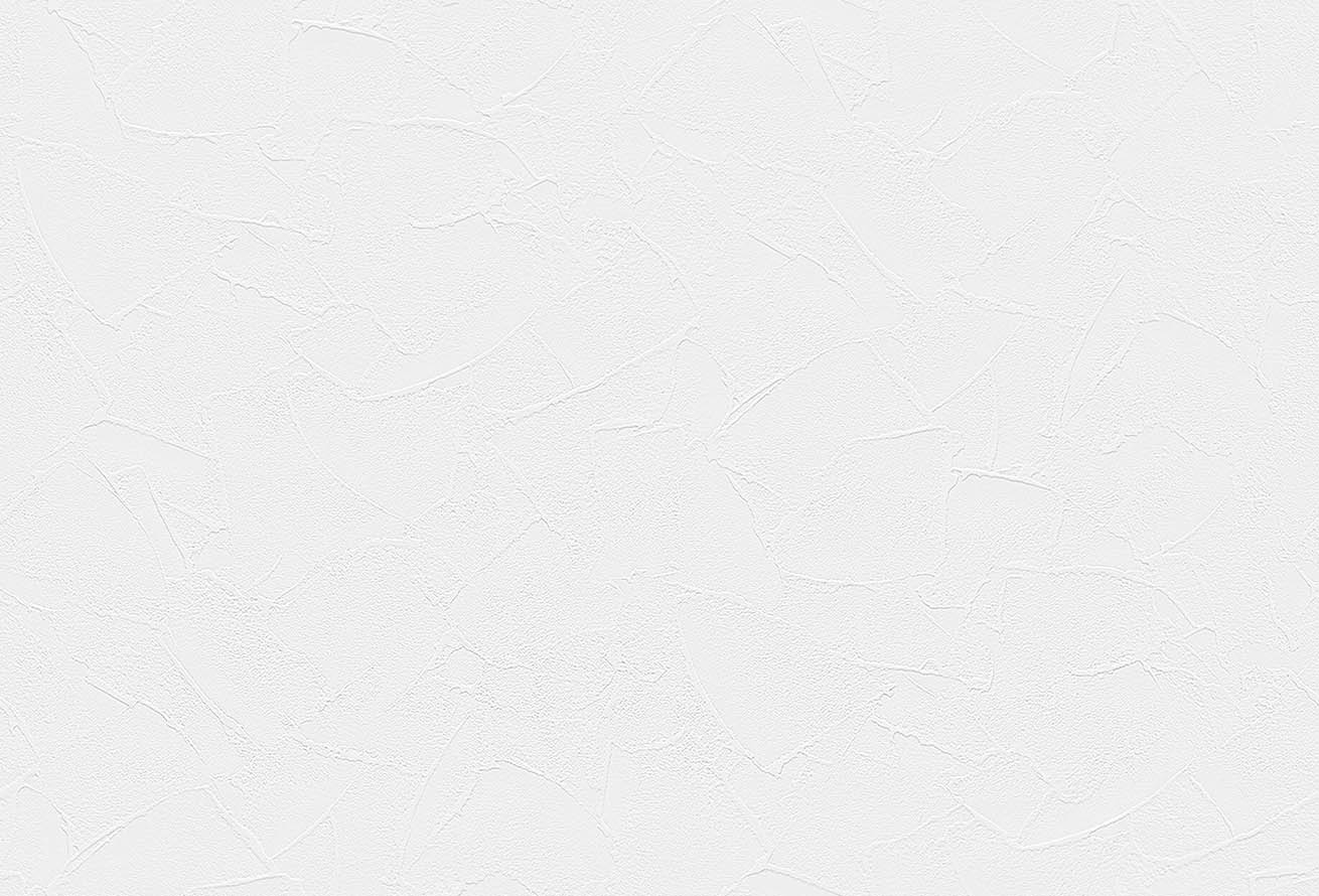 SLP-345 SLプラス 25-27