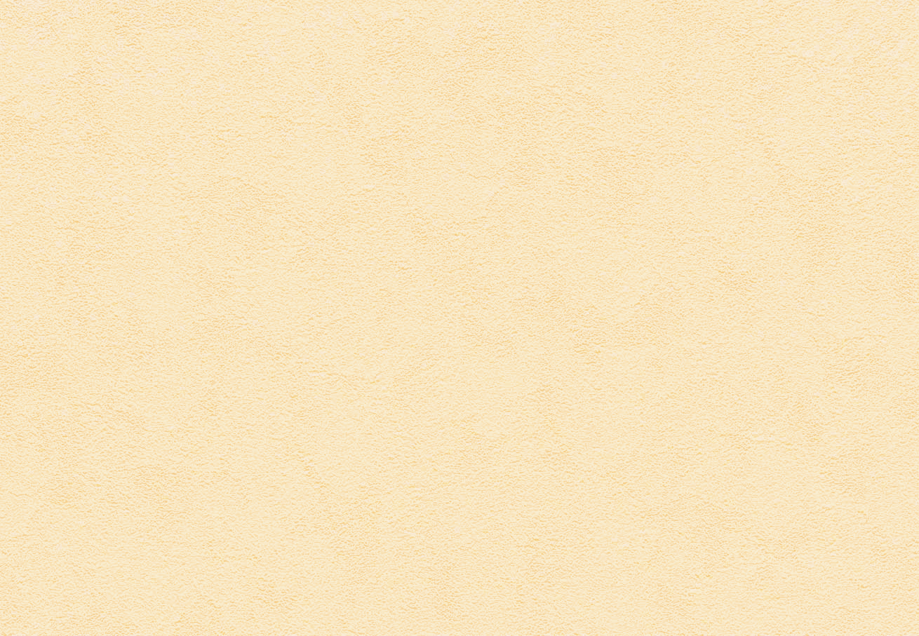 SLP-369 SLプラス 25-27